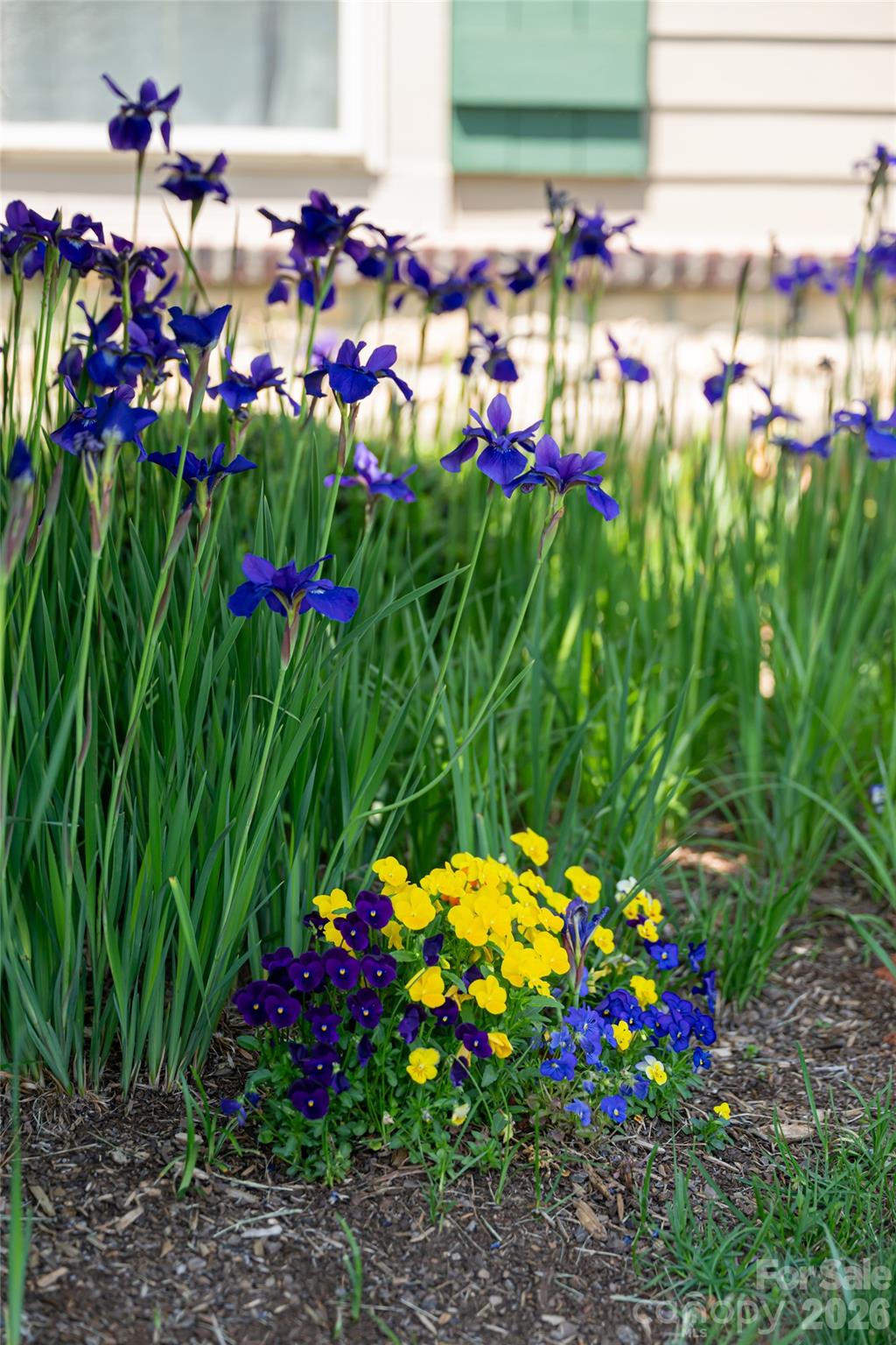 Craggy View Cottages - Residential