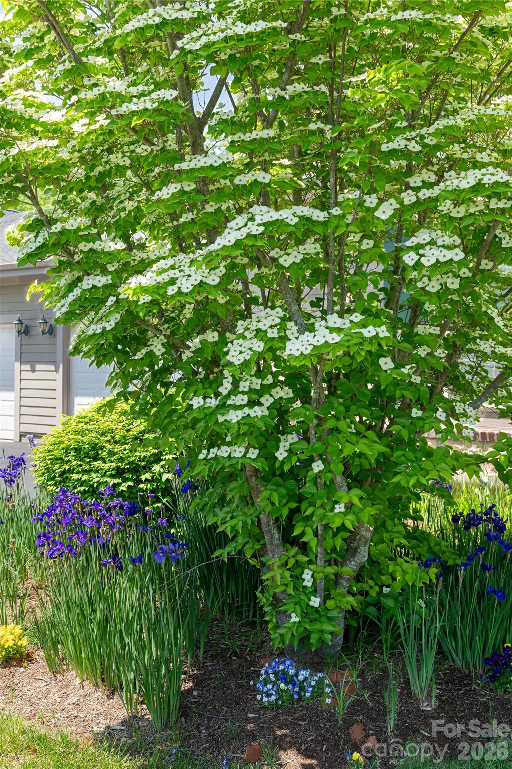 Craggy View Cottages - Residential