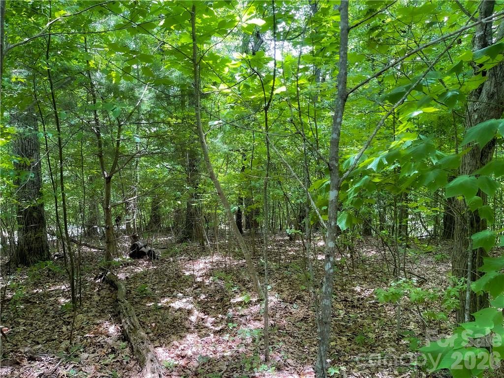 L-36 Saint Moritz Lane Lot 36