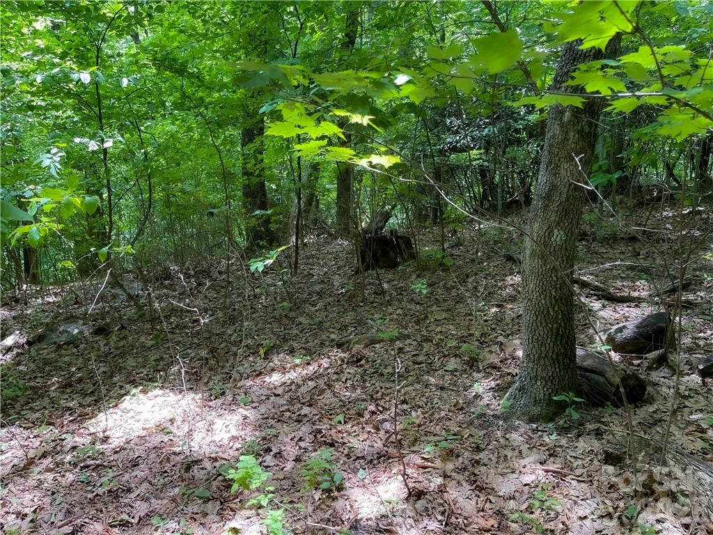 L-36 Saint Moritz Lane Lot 36