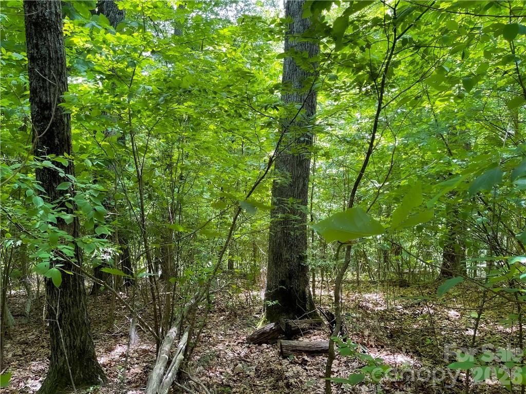 L-36 Saint Moritz Lane Lot 36