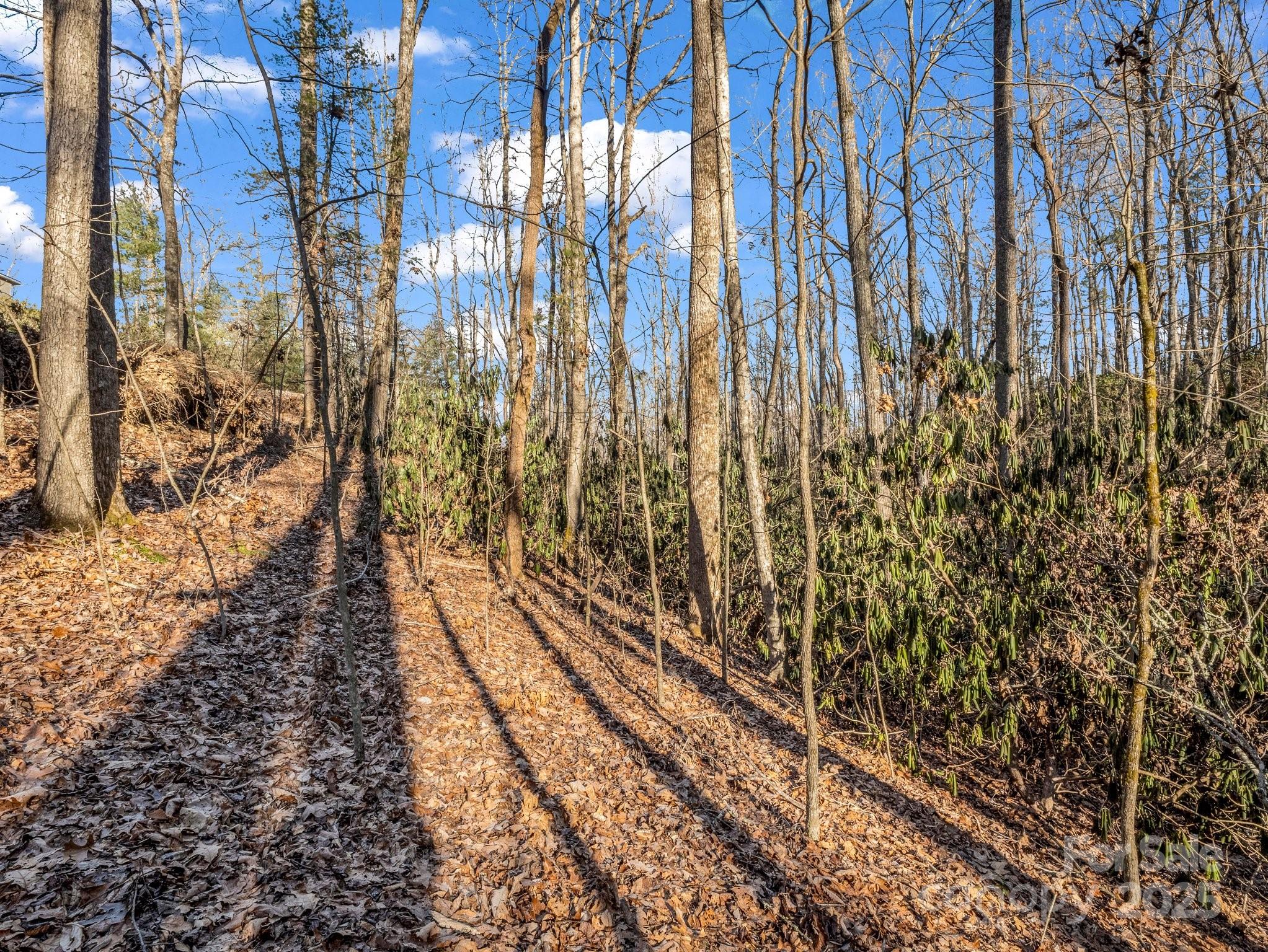 99999 Prestwick Drive 28