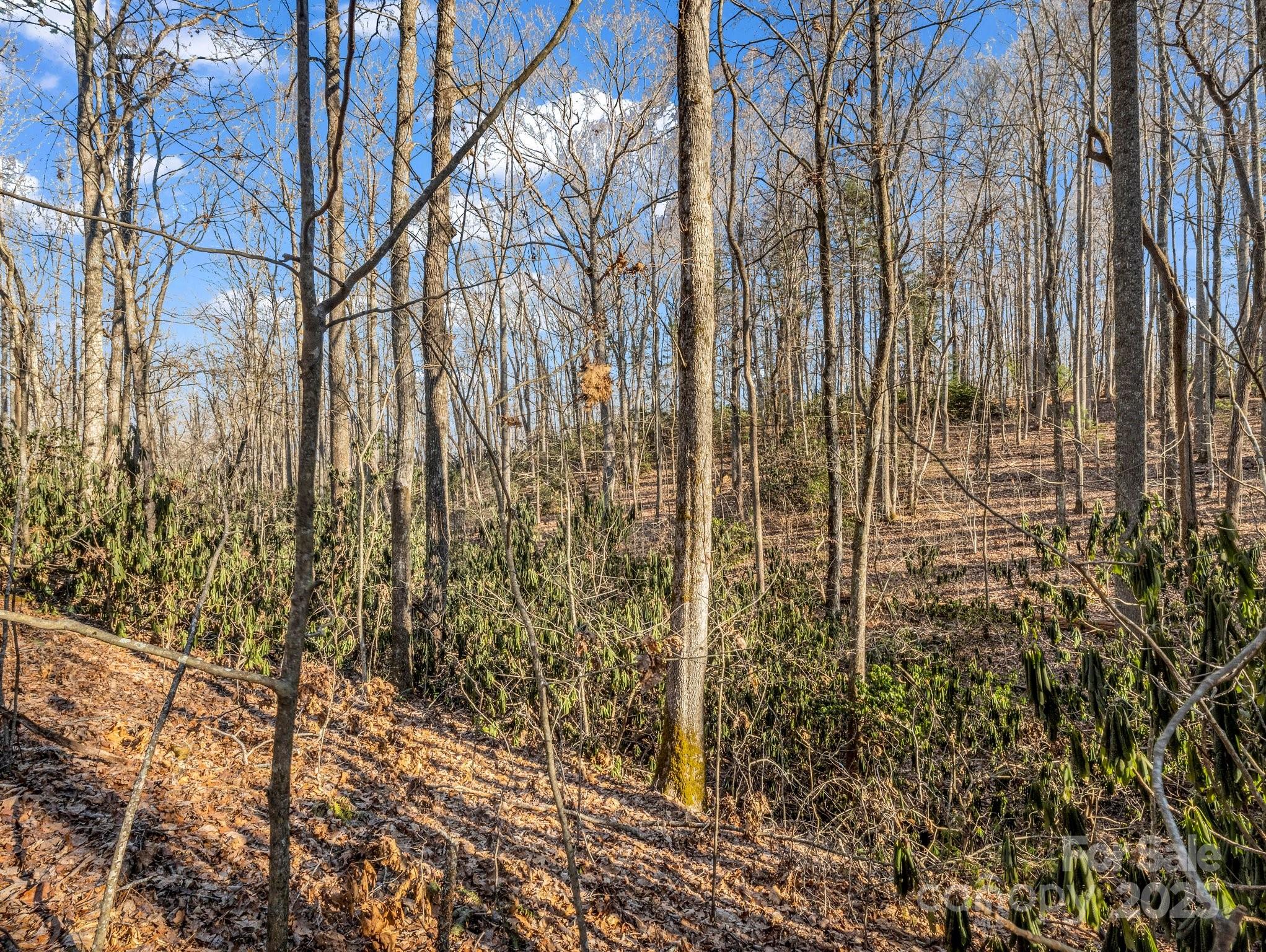 99999 Prestwick Drive 28