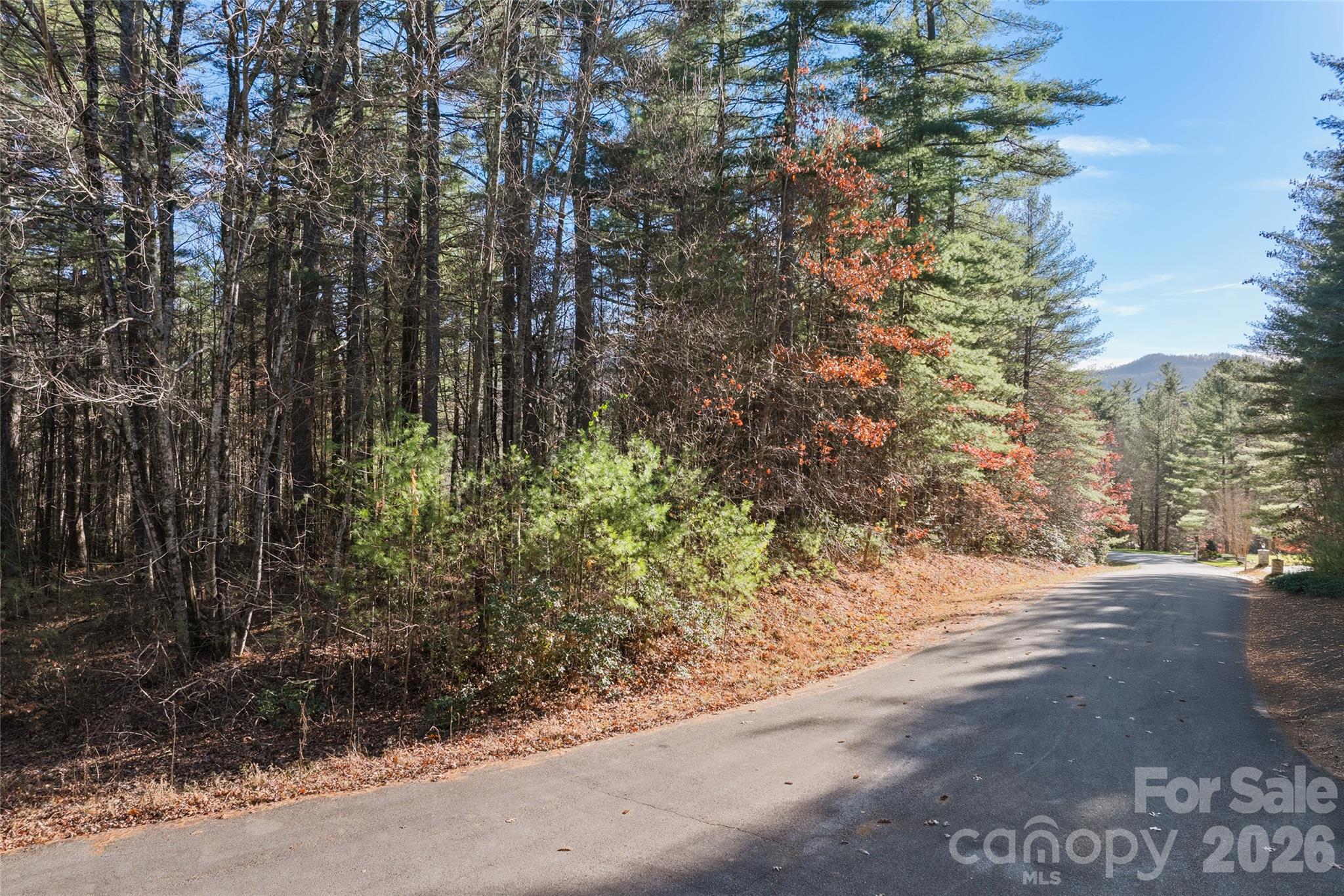0 Daylily Drive Lot 20