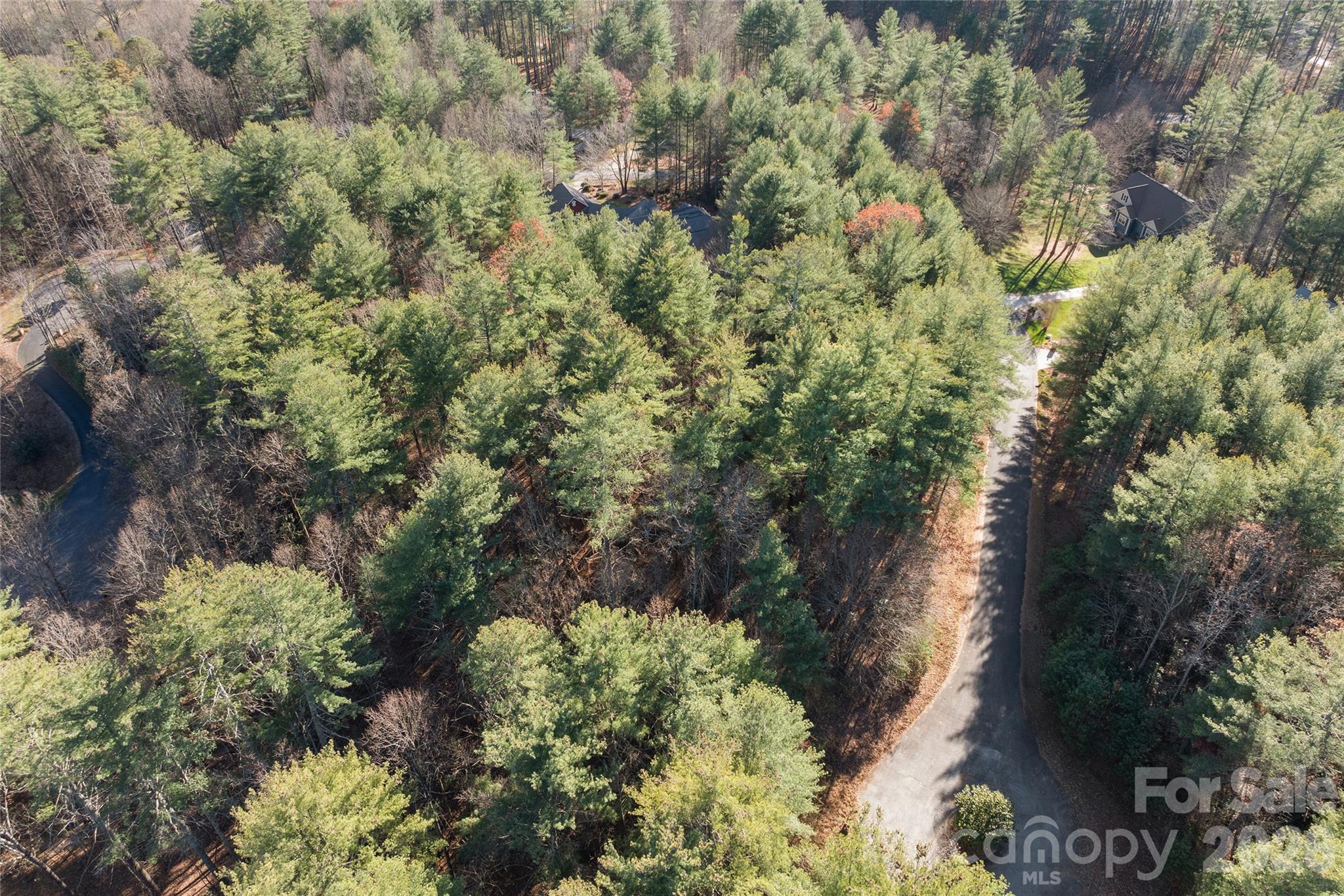0 Daylily Drive Lot 20
