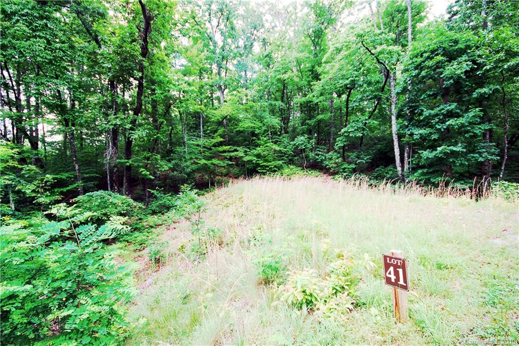 Sylvan Heights - Land