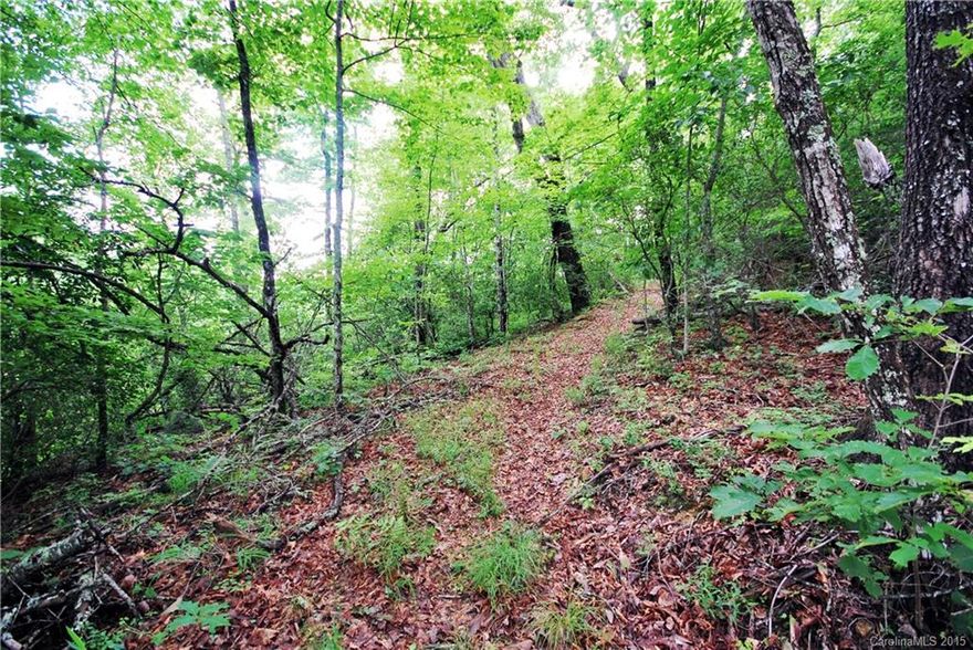 View potential from private homesite,established community. Amenities, Trails, fishing and recreational lake, Frisbee field, and a community park. Consisting of lots from 2 to 10 acre with protective covenants the development keeps its elegant charm alive. Sylvan Heights sits on top of Kelly Mountain with magnificent views and an elevation that goes up to 3000 feet. Located 10 mins from downtown Brevard and close to DuPont and pisgah