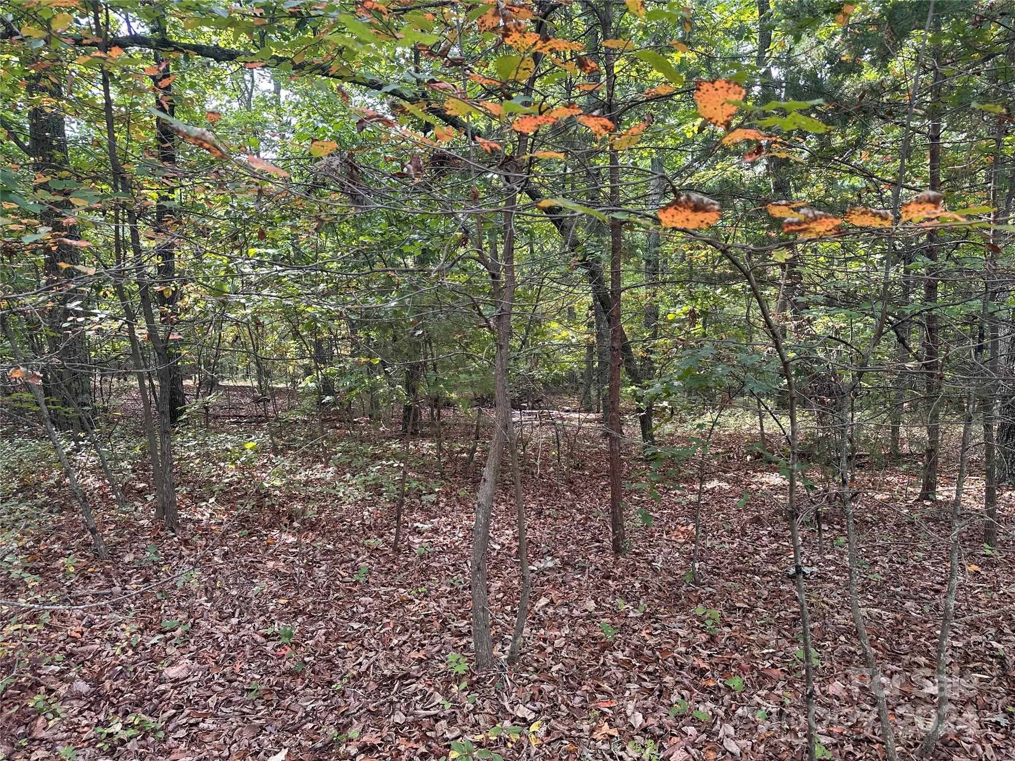 333 Mossy Oak Trail 164