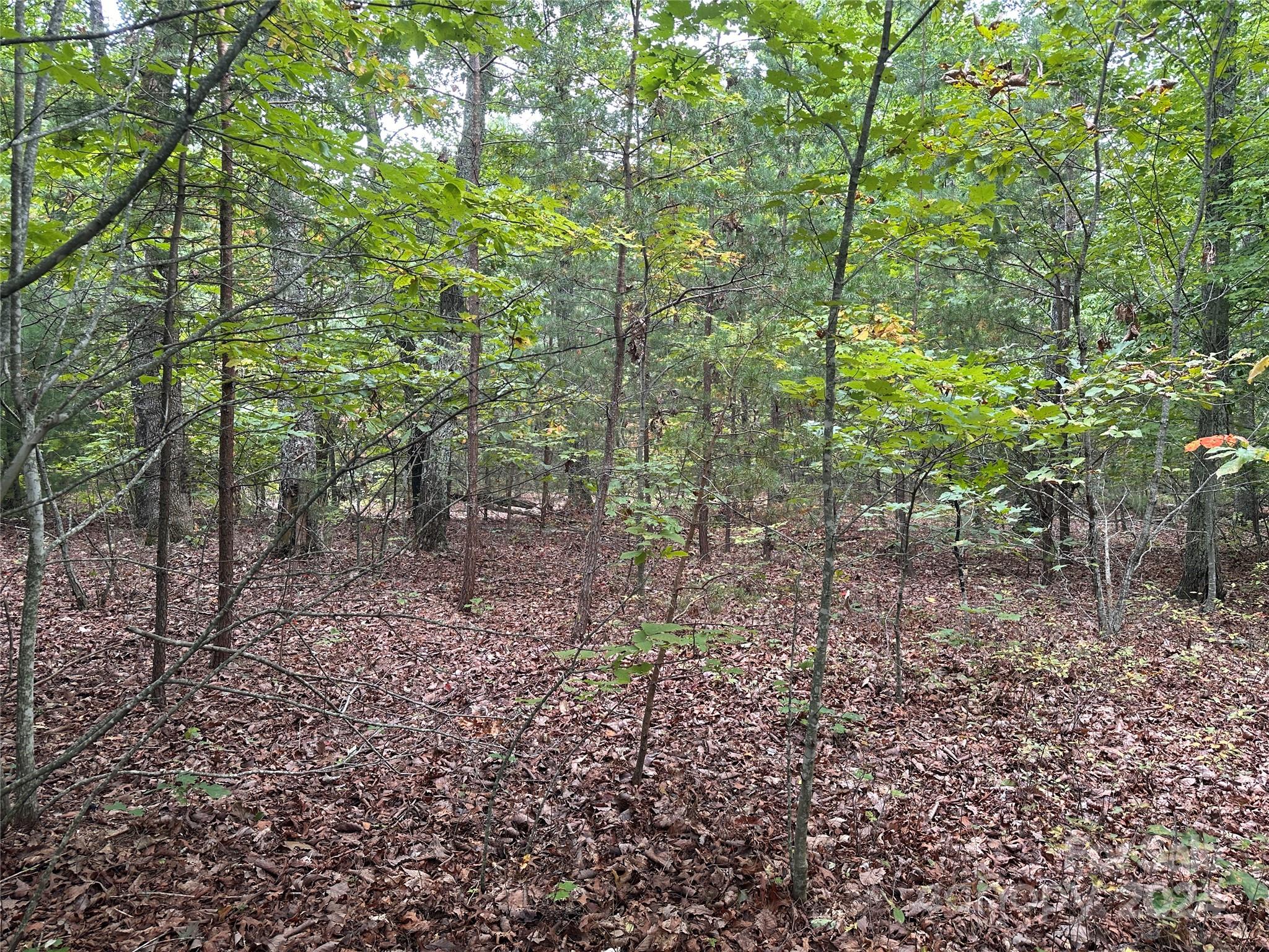 333 Mossy Oak Trail 164
