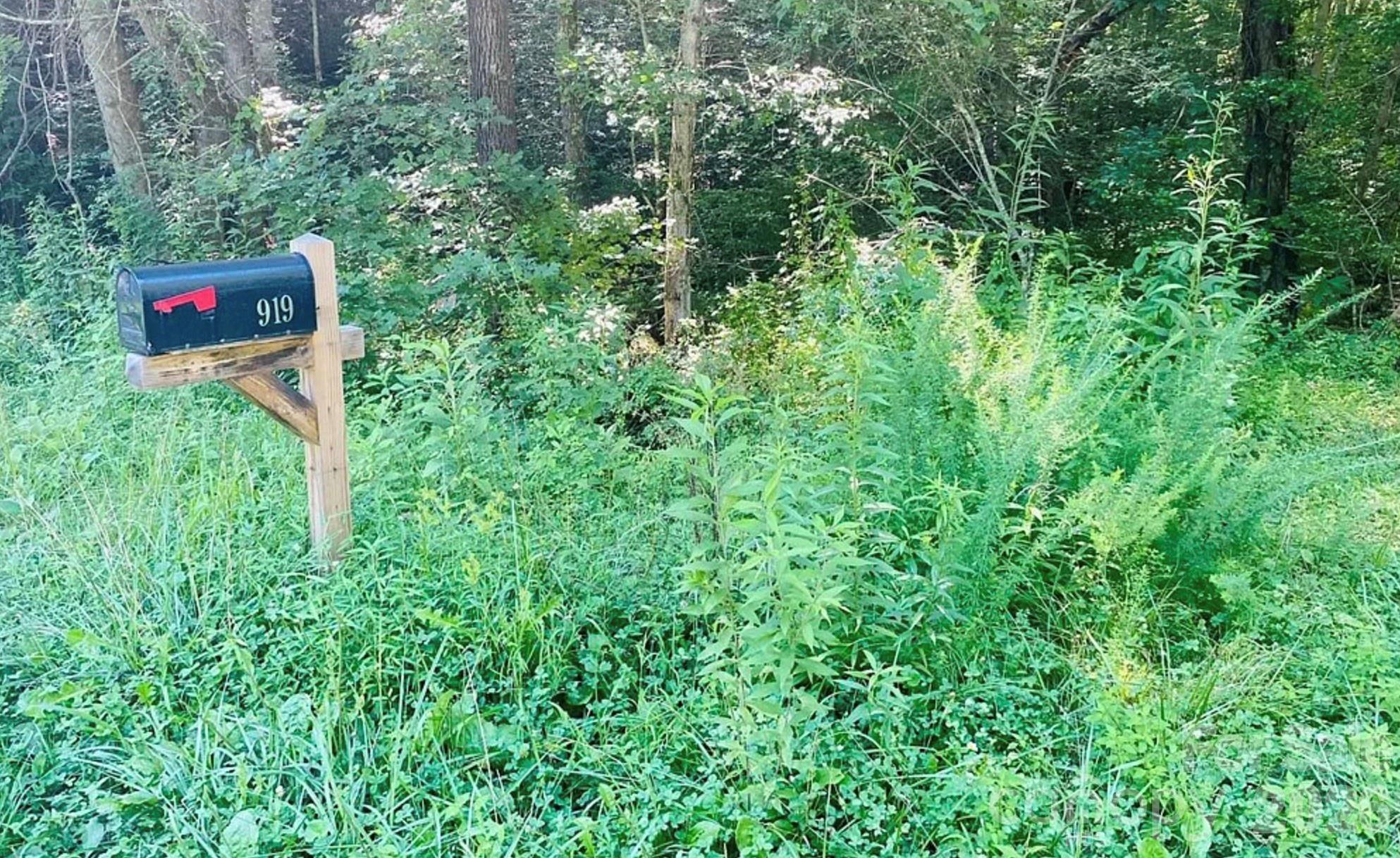 919 Panther Top Road