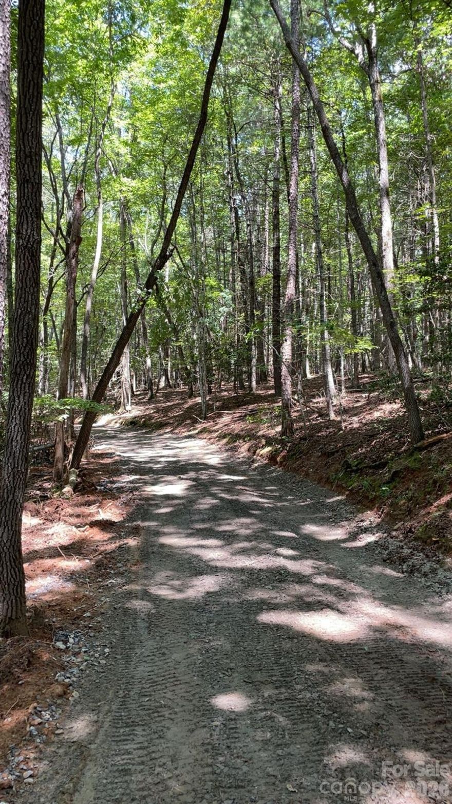 This gorgeous wood but level laying lot had a 3 Bedroom Septic Permit that just expired in 2026! Road already carved in from the main road and newly installed 8 foot gravel driveway brings you in so that you're surrounded by the beautiful forest and trees back to home site. Easy terrain to build on. Don't miss this one, 14 minutes to town and still has all the privacy you desire in the mountains.