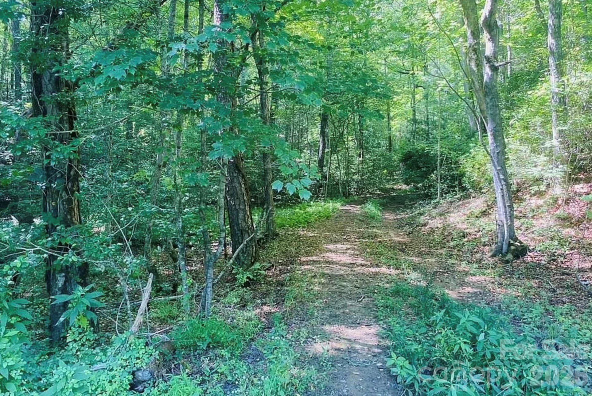 919 Panther Top Road