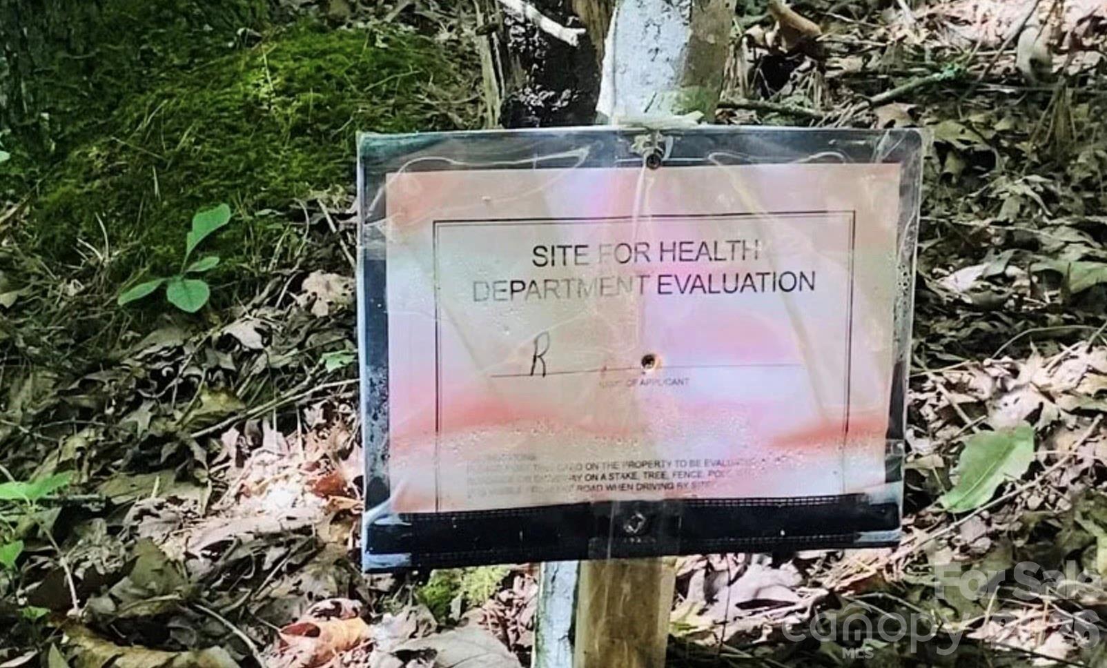 919 Panther Top Road