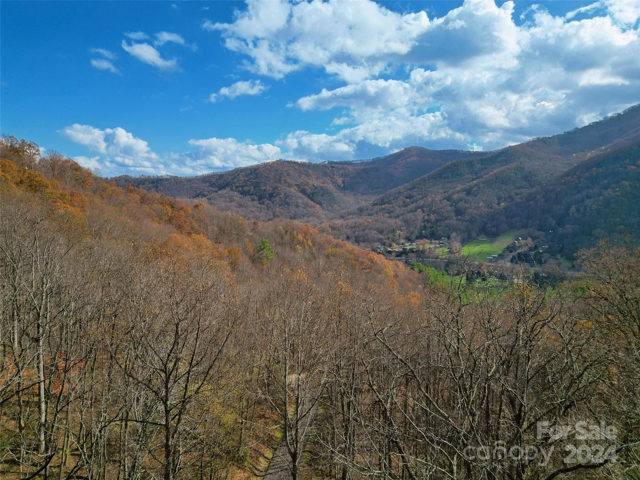 00 Scarlet Maple Lane 23