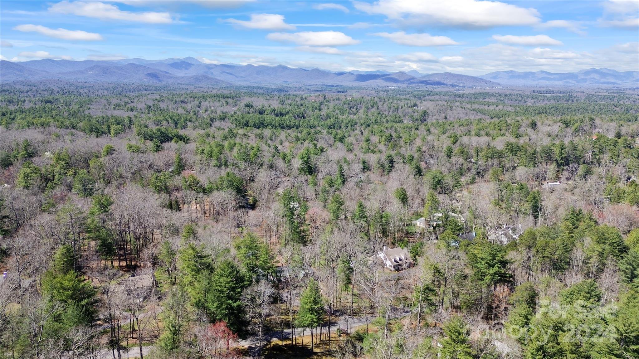 Biltmore Forest - Residential