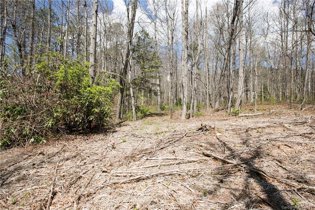 Echo Valley Estates - Land