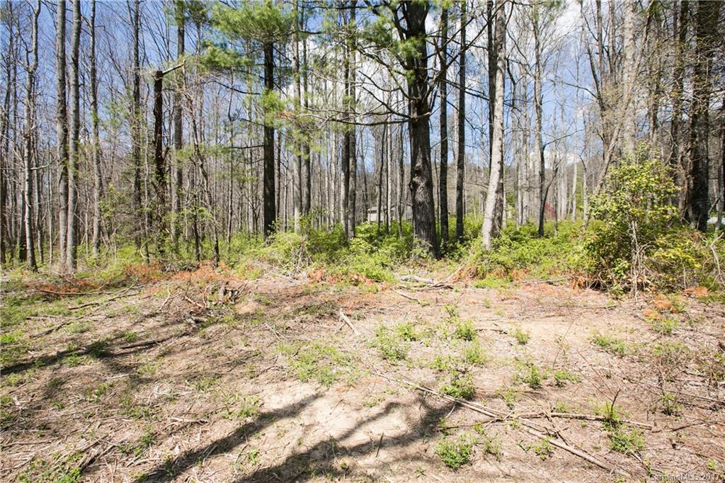 Echo Valley Estates - Land