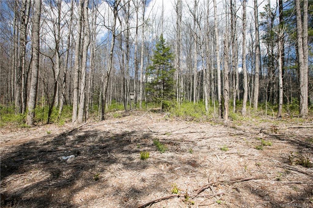 Echo Valley Estates - Land