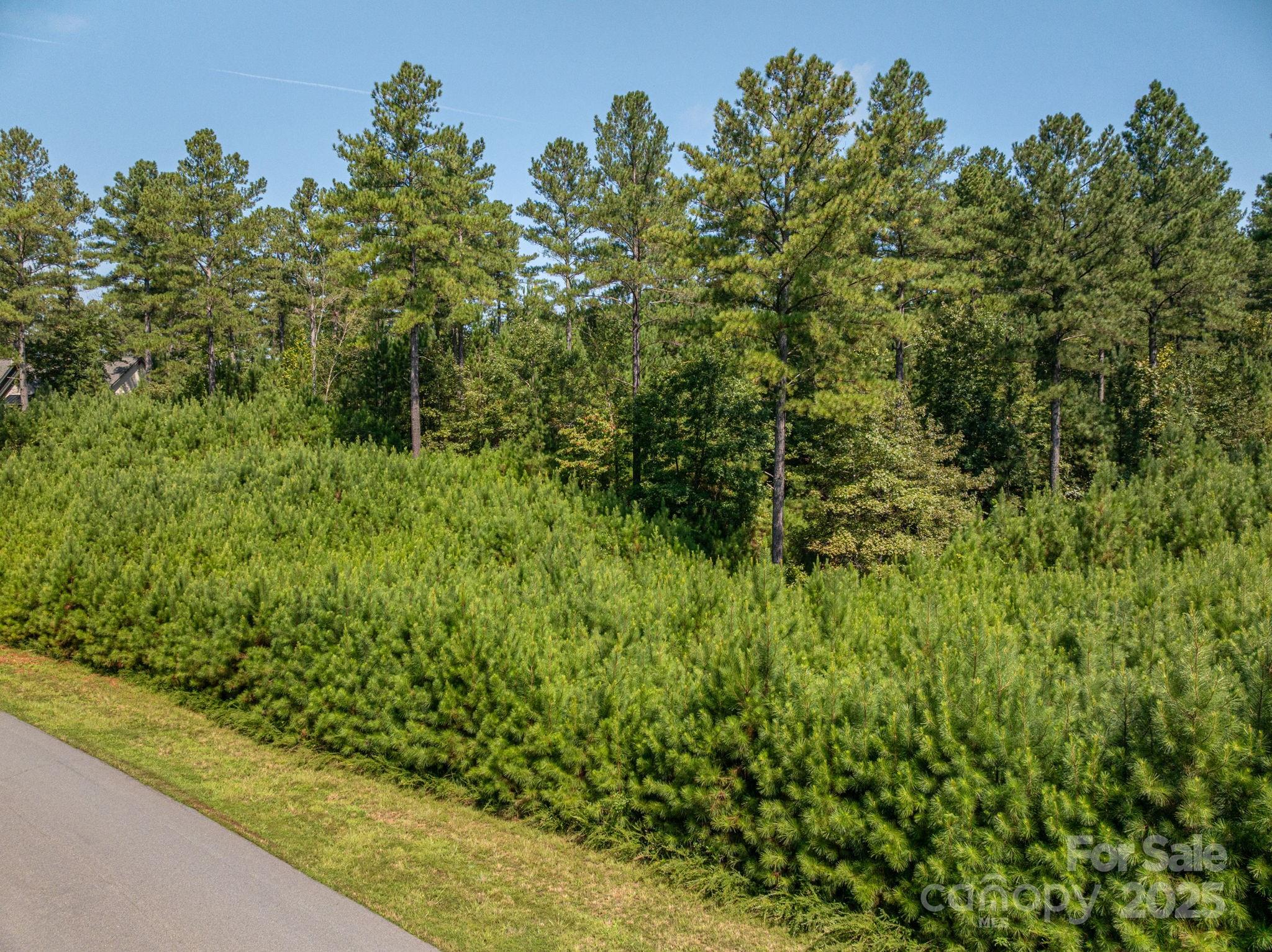 Sawmills, North Carolina 28639, United States, ,Land,Active,205683