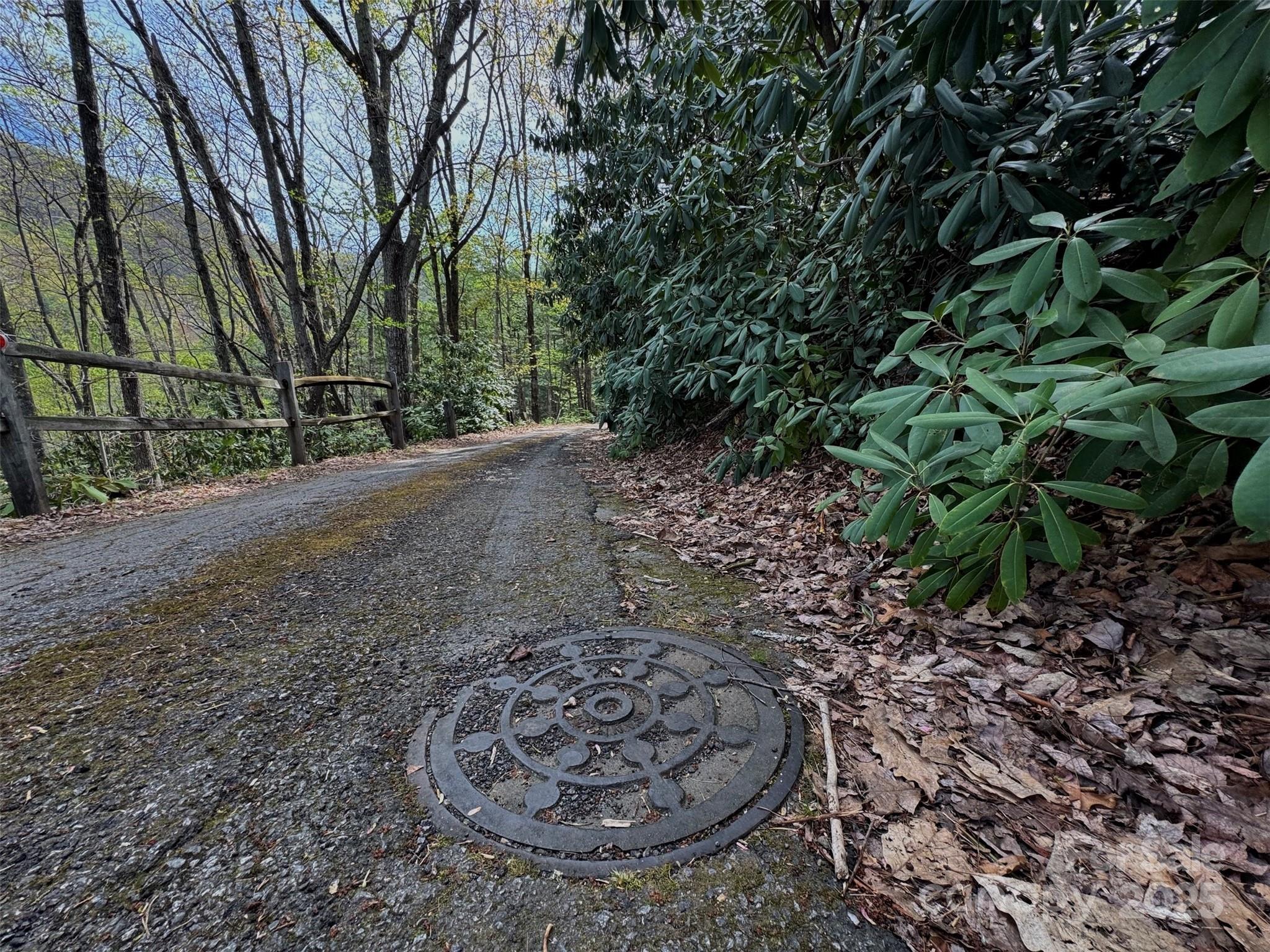 Chestnut Walk - Land