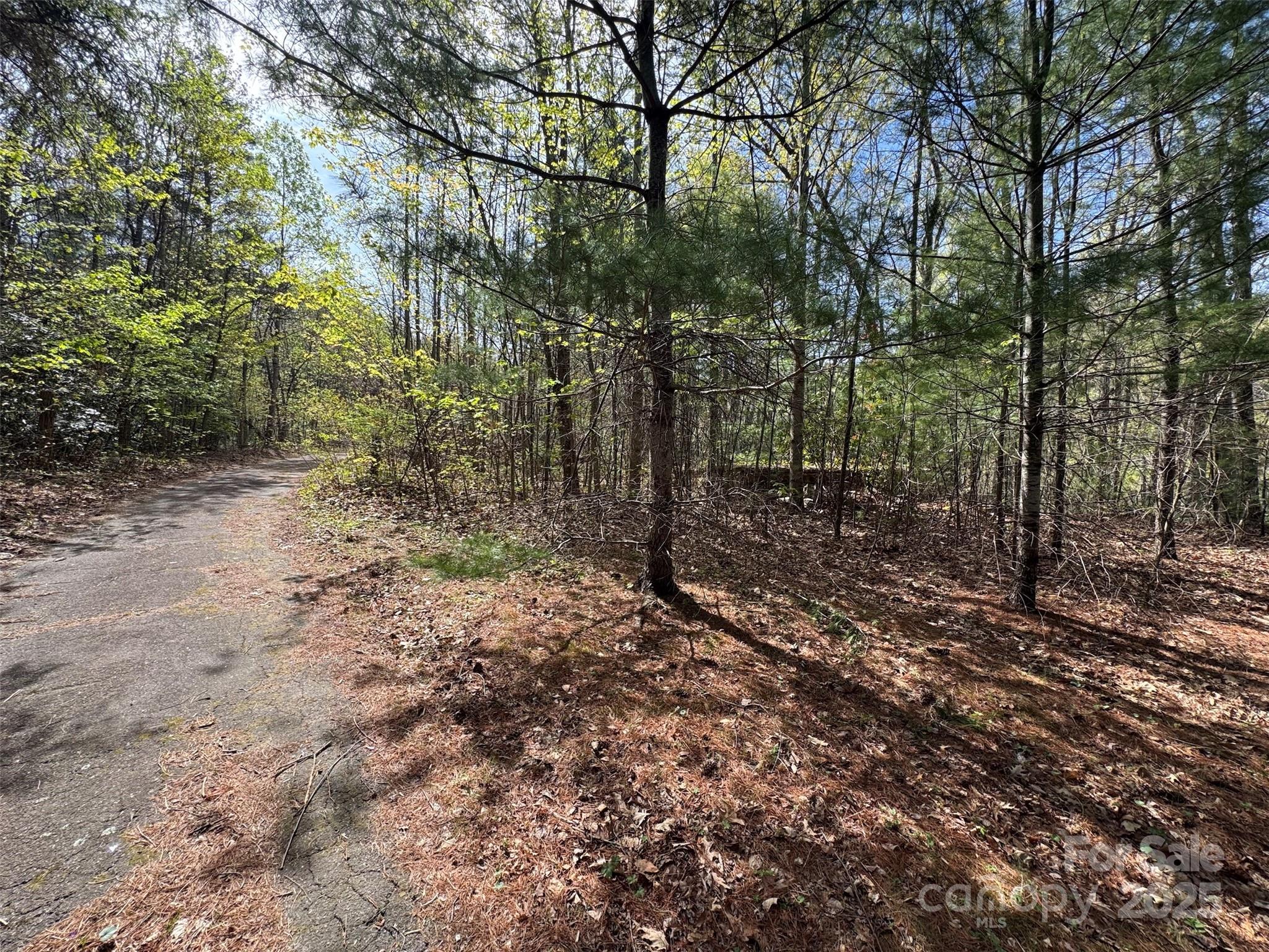 Chestnut Walk - Land