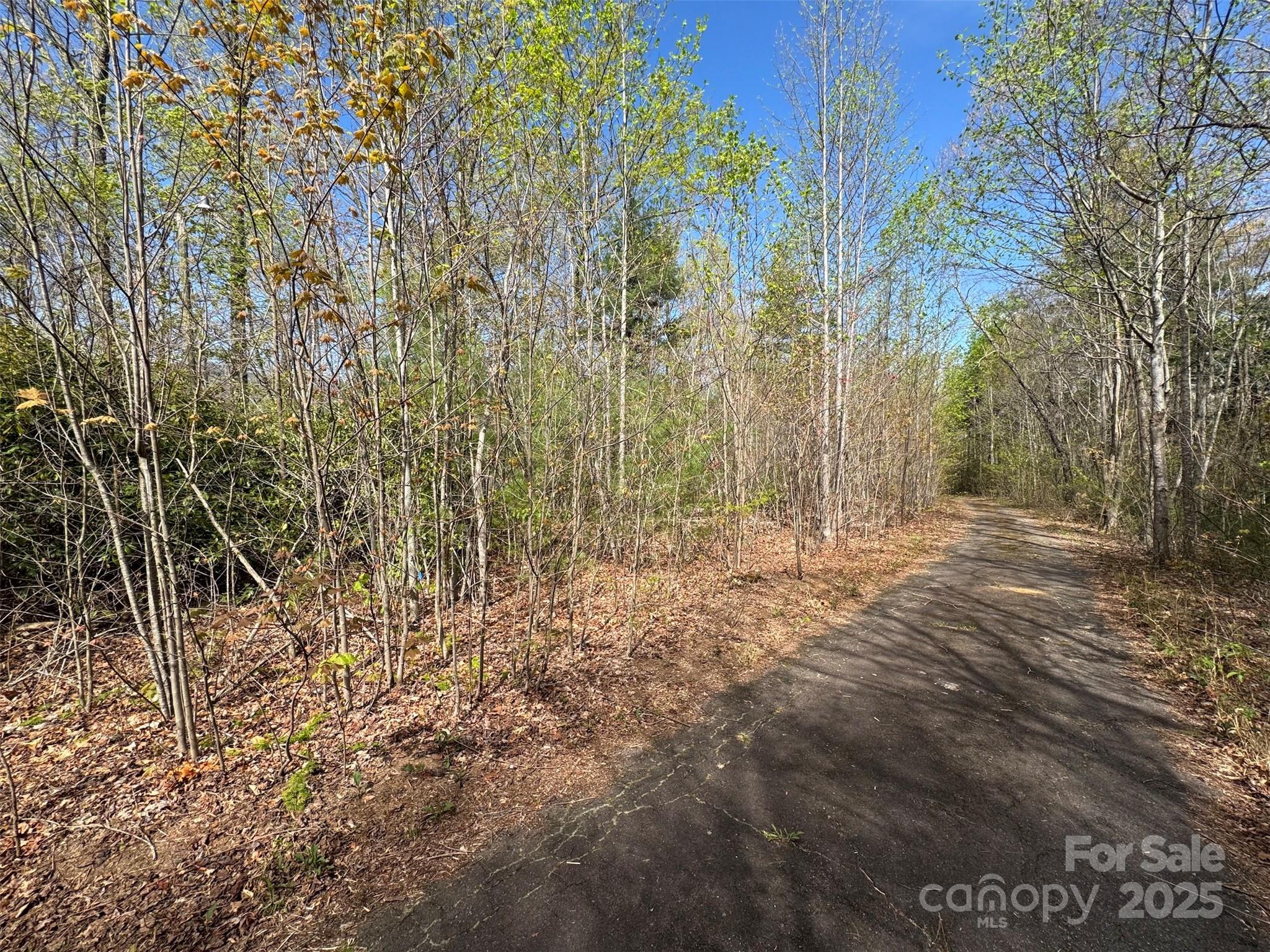 TBD (D) Chestnut Walk Drive