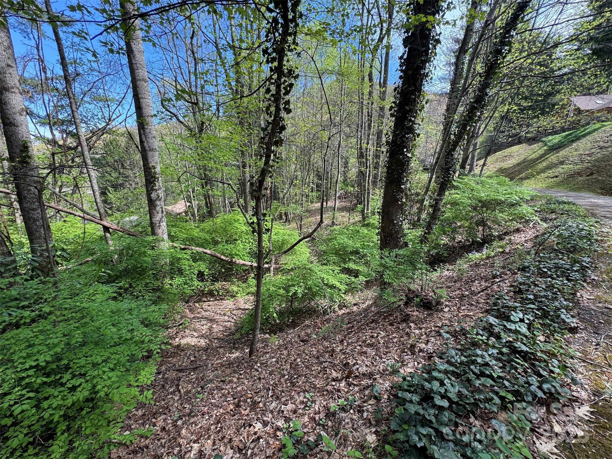 Chestnut Walk - Land