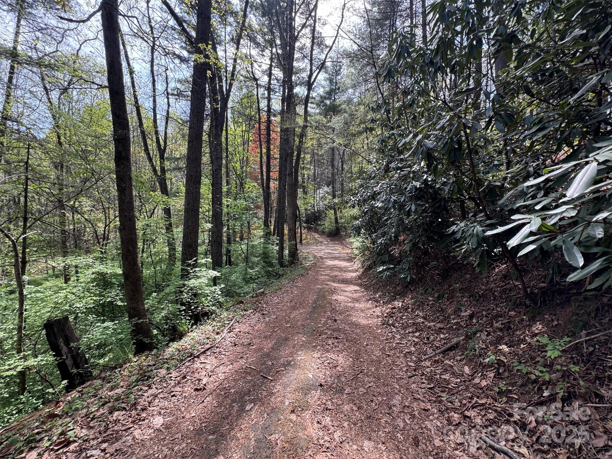 Chestnut Walk - Land