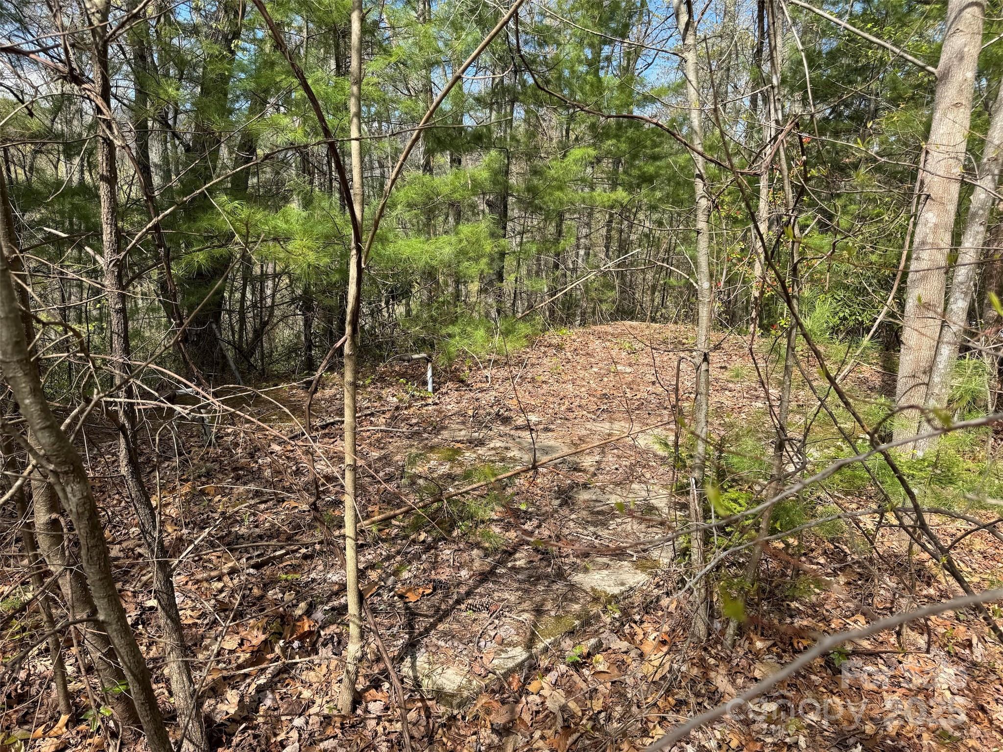 Chestnut Walk - Land