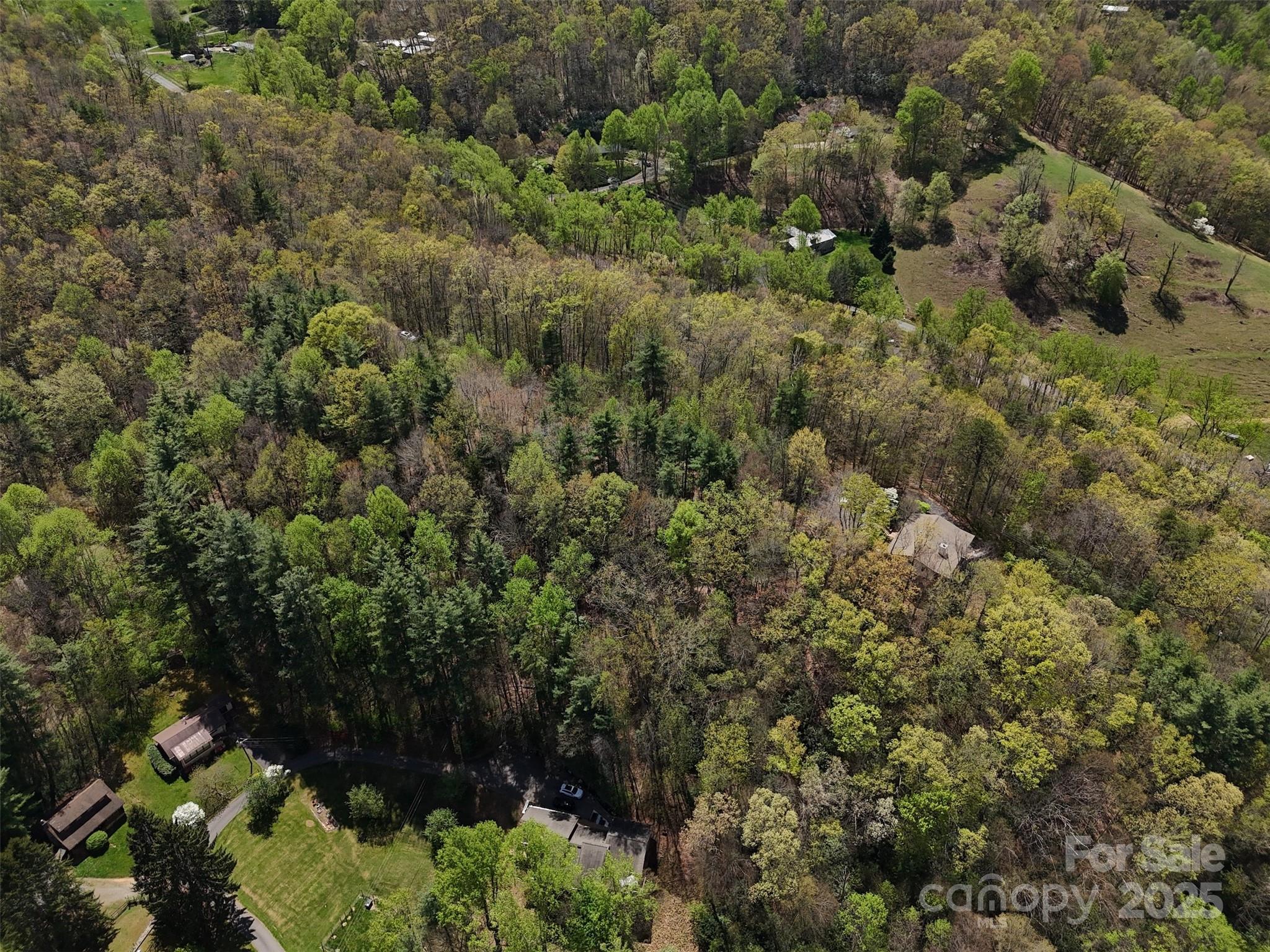 Chestnut Walk - Land