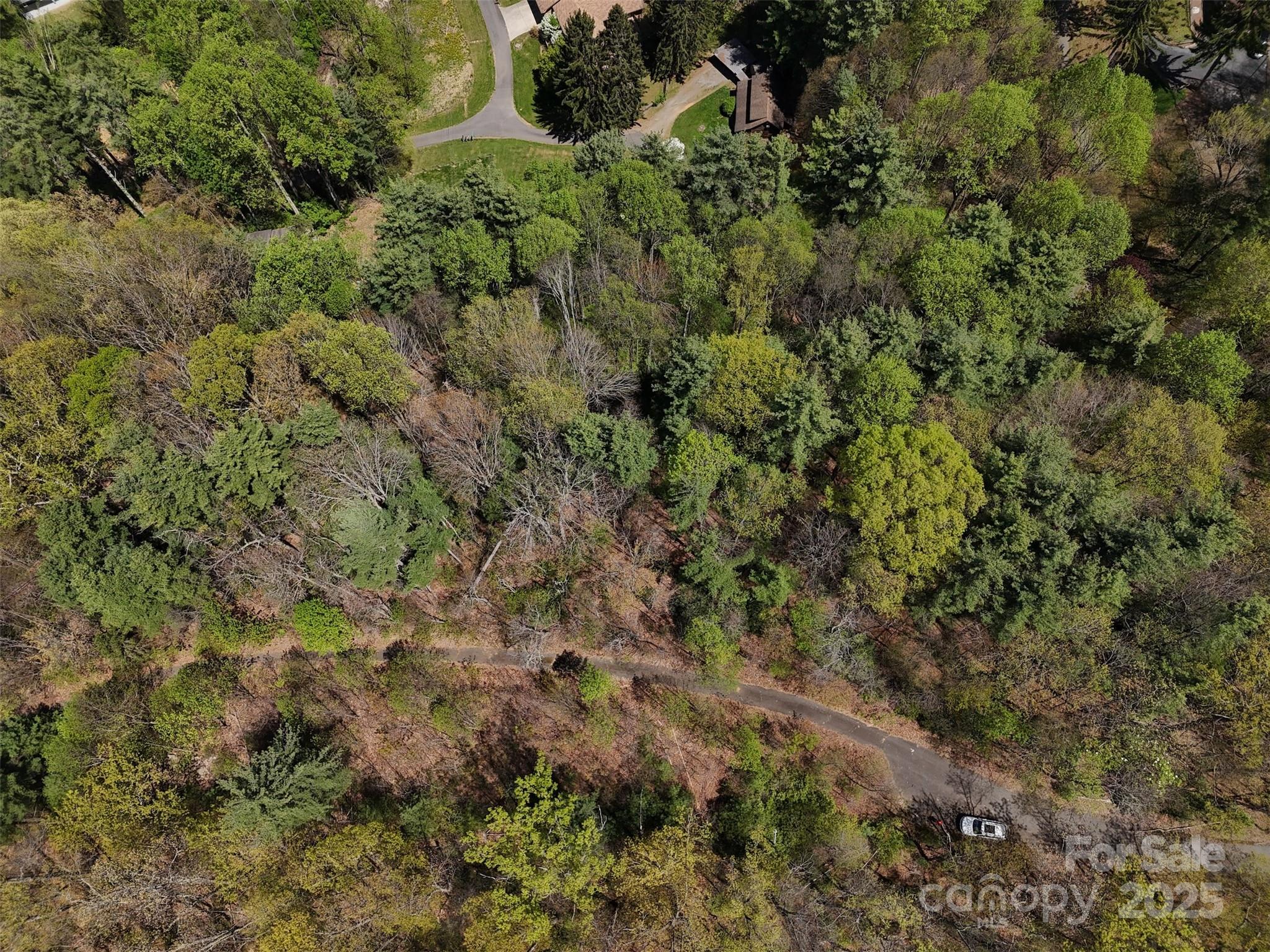 Chestnut Walk - Land