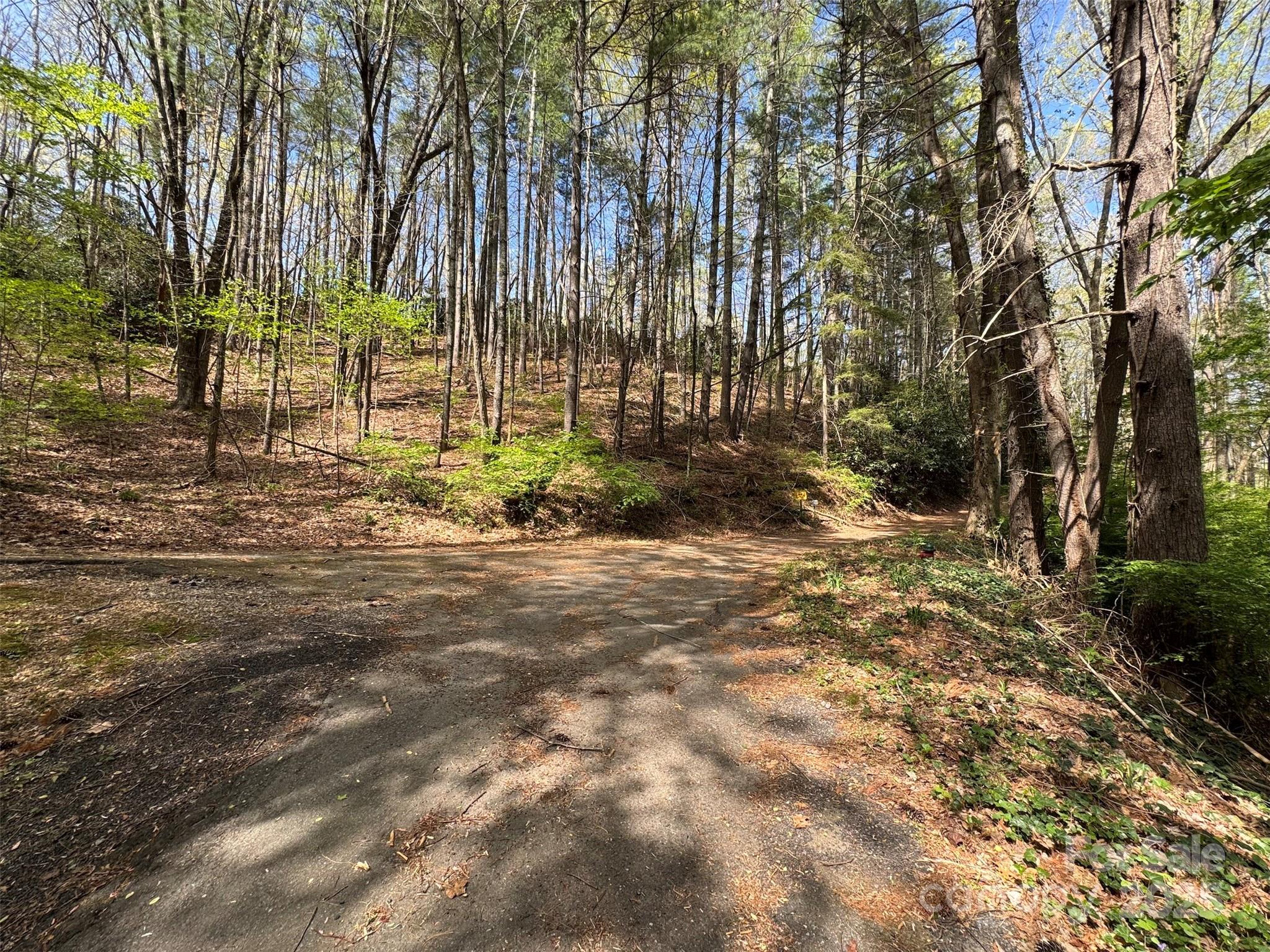 Chestnut Walk - Land