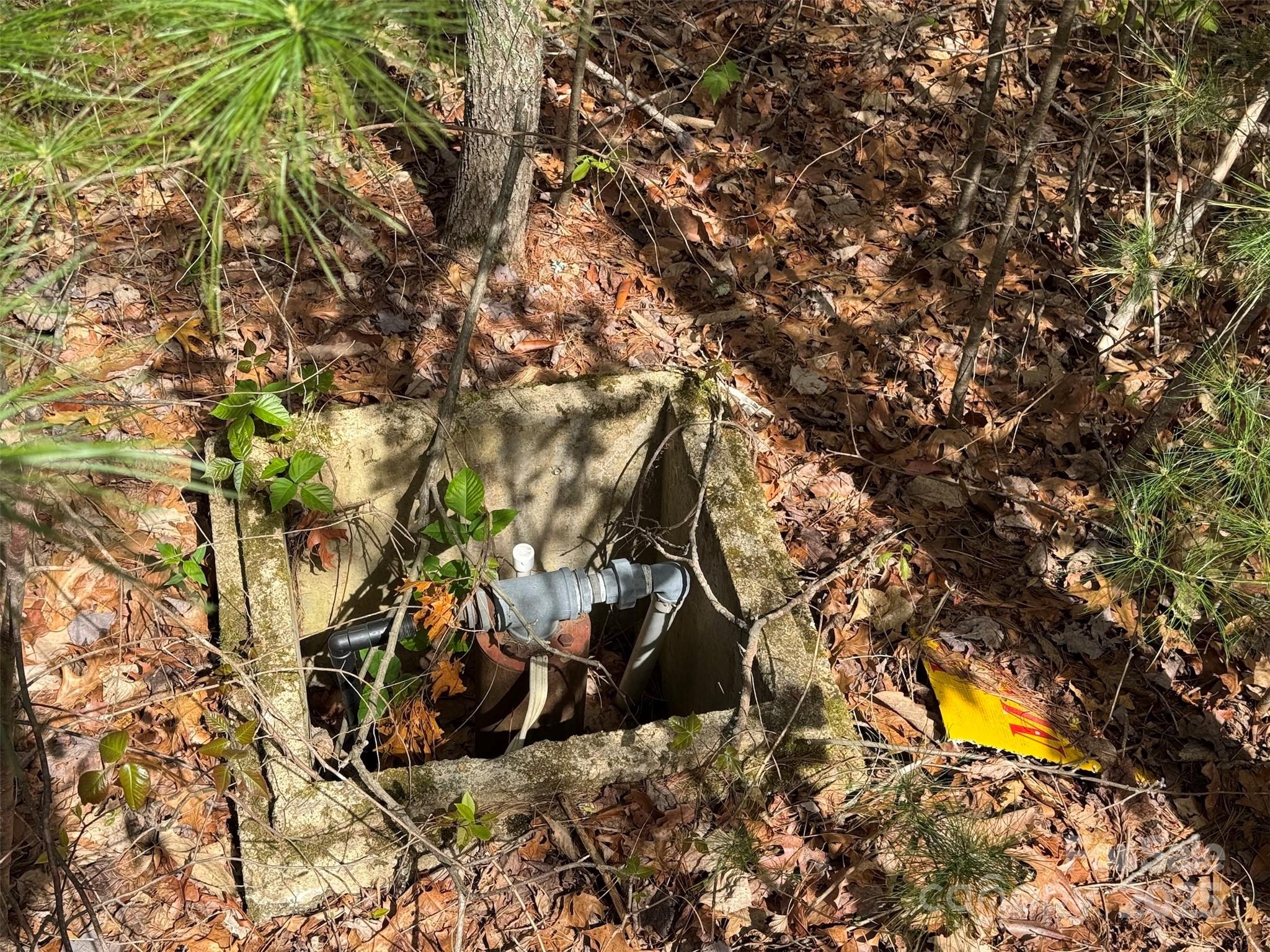 Chestnut Walk - Land