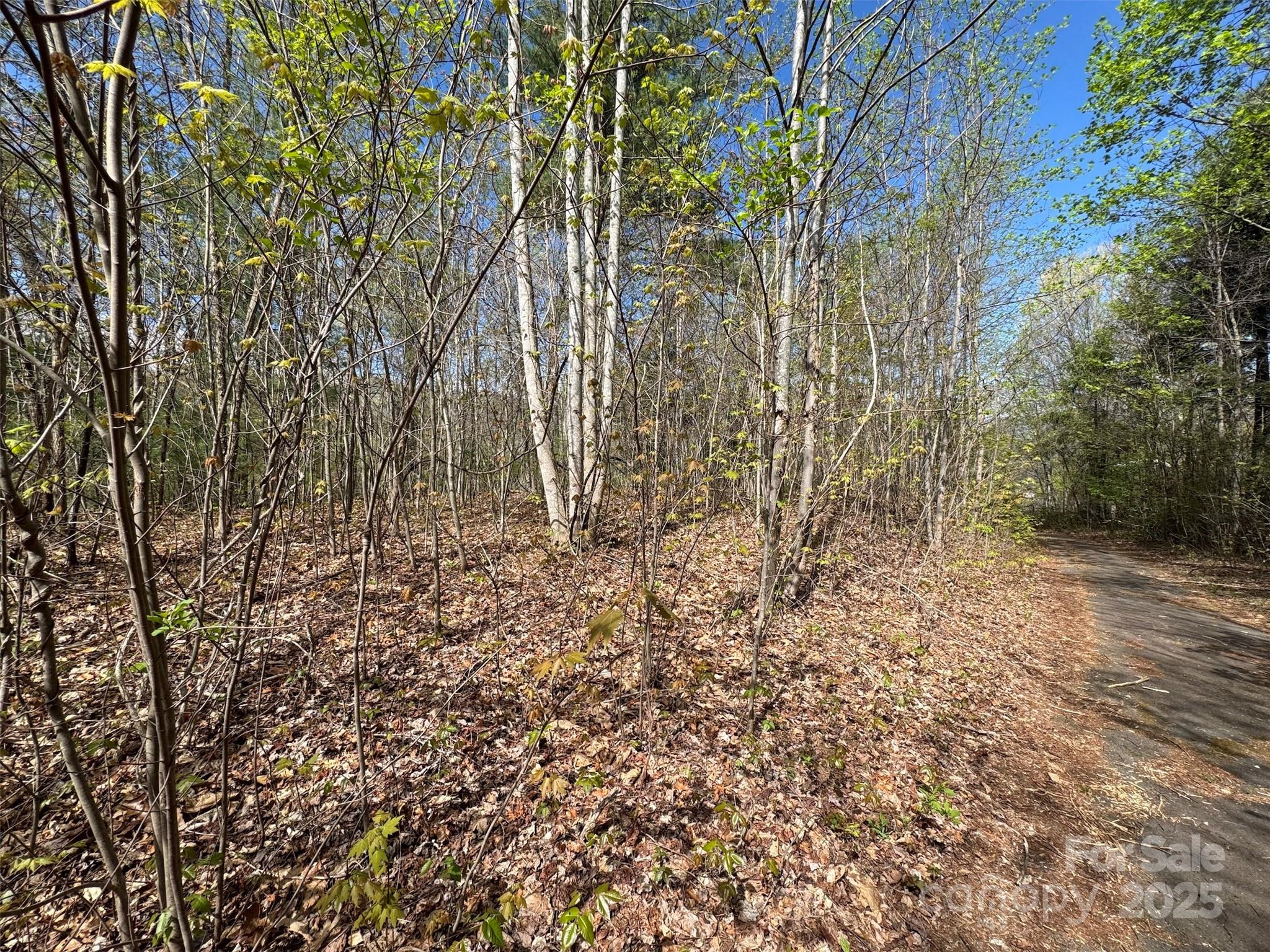 TBD (D) Chestnut Walk Drive