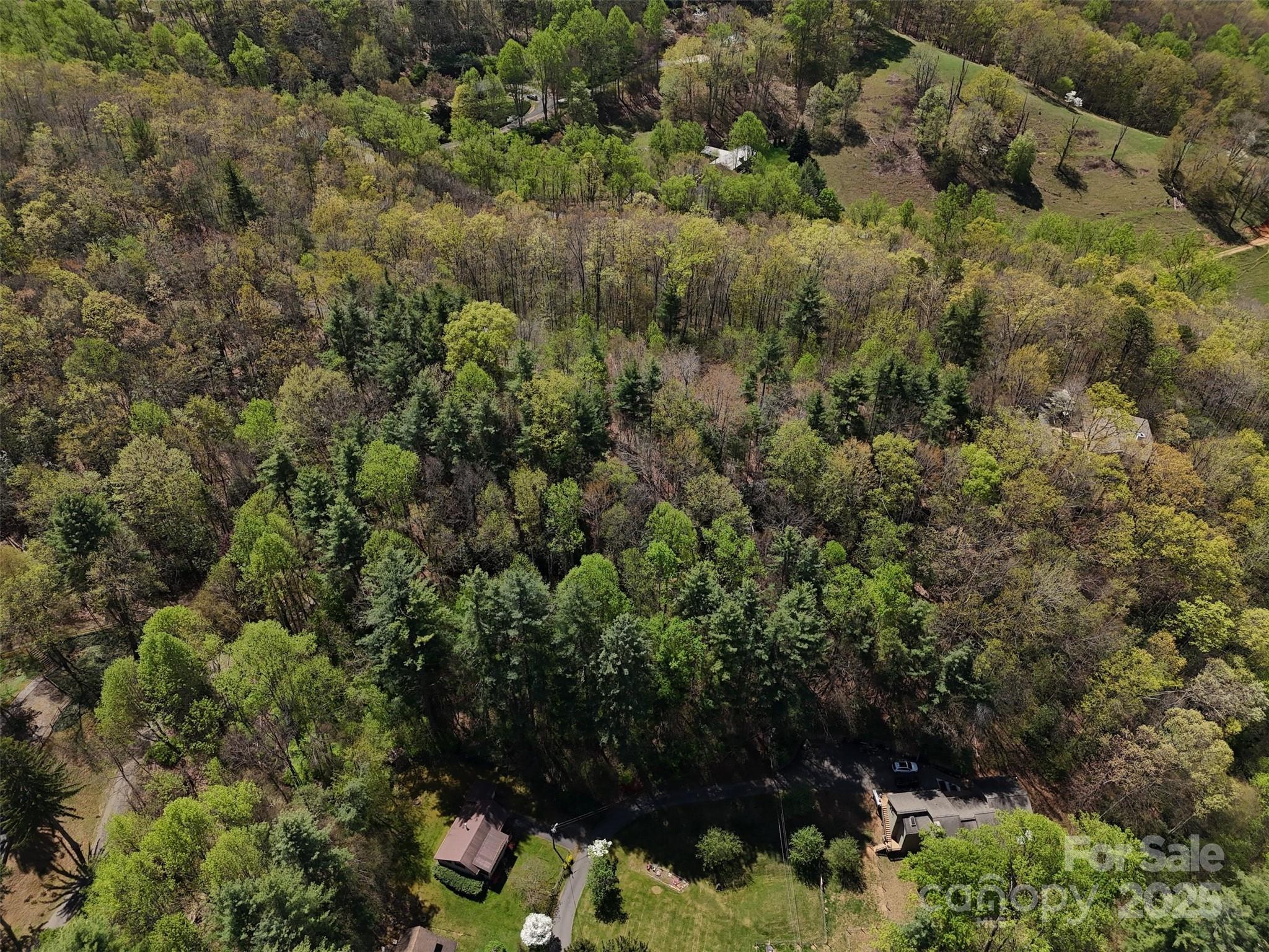 Chestnut Walk - Land