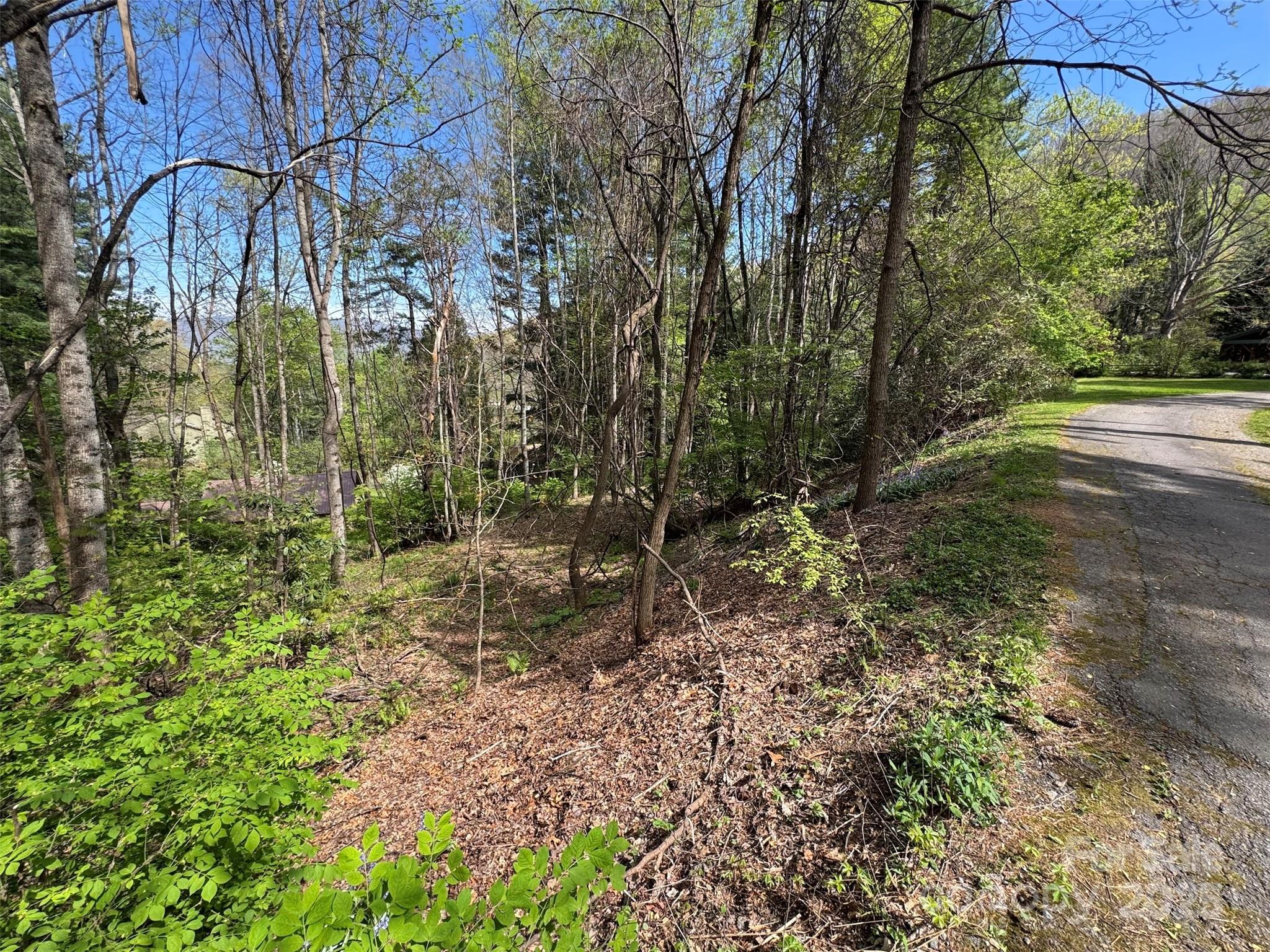 Chestnut Walk - Land