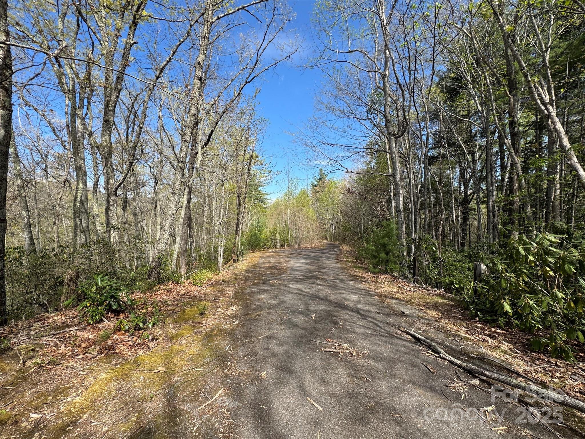 Chestnut Walk - Land