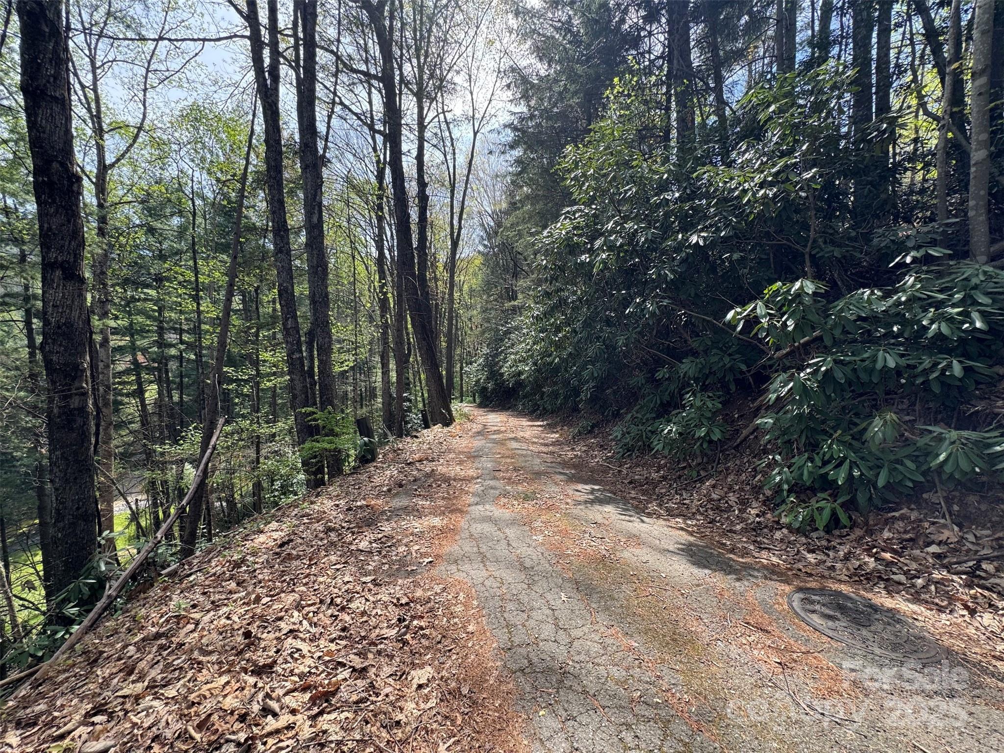 Chestnut Walk - Land