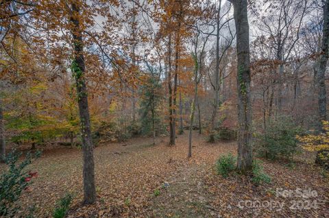 A home in Tryon