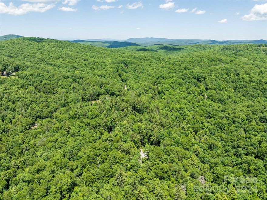 Unique opportunity for a buyer looking for a family retreat, vacation, airbnb and/or residential rental. Situated on +/-  6.46 AC adjacent to unlimited scenic beauties near DuPont State Forest and Table Rock State Park. This property boasts 4 homes with a main home and 3 additional cabins; each sleep up to 4 guests. The main house is 1 bedroom and 1 bath with a large enclosed porch. Each cabin is 1 bedroom and 1 bath, each with an additional loft space. This is an incredible opportunity close to hiking, waterfalls, and other natural attractions.  Site is big enough to support additional cabins if buyer chooses.