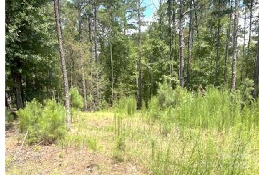 5.33 Acres – Build-Ready with Approved Well, Survey & Perc Test. This 5.332-acre tract in York County, South Carolina offers the perfect blend of privacy and convenience—tucked away in a quiet rural setting, yet just minutes from town and I-77. The land is mostly wooded for natural beauty and privacy, with approximately 1 acre cleared, ideal for your future custom build.  The land features gently rolling terrain and stretches across both sides of the driveway, with ample space for any build.  NO HOA restrictions, great for tiny home village, homestead, or retreat space.

Shipping box trailer on the property can be sold separately.