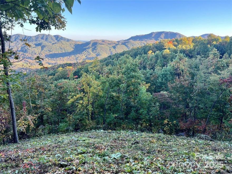 One of the most beautiful parcels remaining in Creston, this 3+ acre lot is wooded but has a roughed in driveway and a cleared build pad with incredible layered mountain views of Crooked Creek Valley and miles beyond! Eastern and southern exposure ensure a light filled home! The build site sits above Creston Drive and there is lots of foliage between the site and the road to maintain privacy. Tree work has been done to open the views, and the listing photos are actual photos from the lot (not from a drone). New well installed in Spring 2021 and a 3-BR septic permit is on file (expired). Build your dream home or vacation retreat in a gated community full of wildlife, views, and upscale homes. Creston has its own hiking trails and Spectrum cable internet, and is surrounded by conservancy land and national forest. Creston is a spectacular exclusive mountain community, and this lot is one of the last premier view lots in the neighborhood! Watch Virtual Tour to see the panoramic views!
