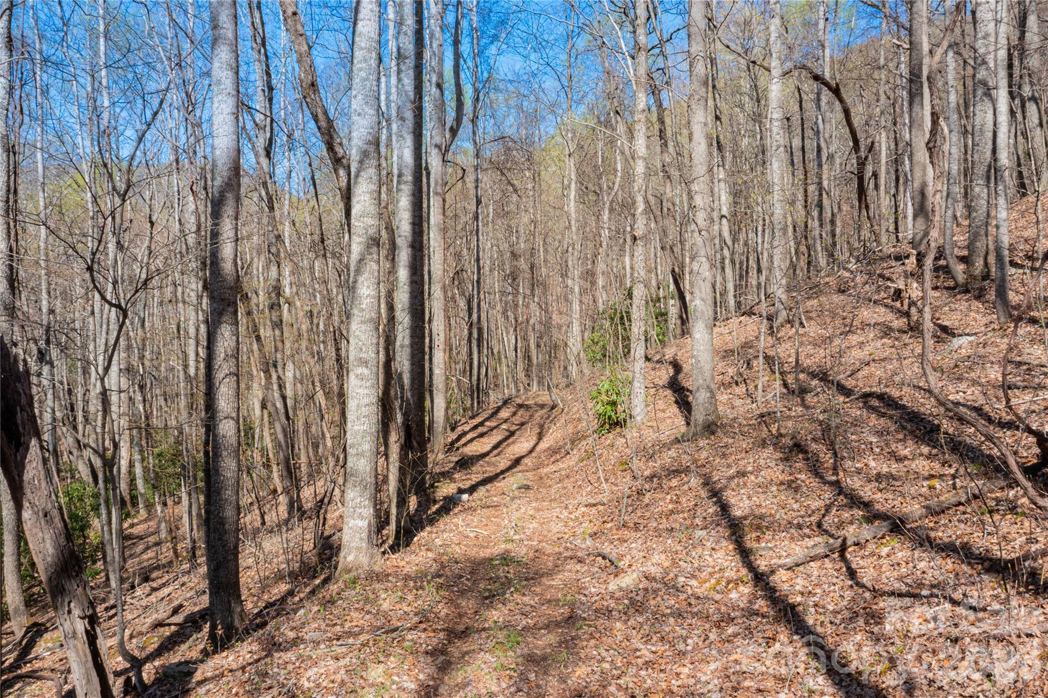 28 & 29 Spruce Chase Lane