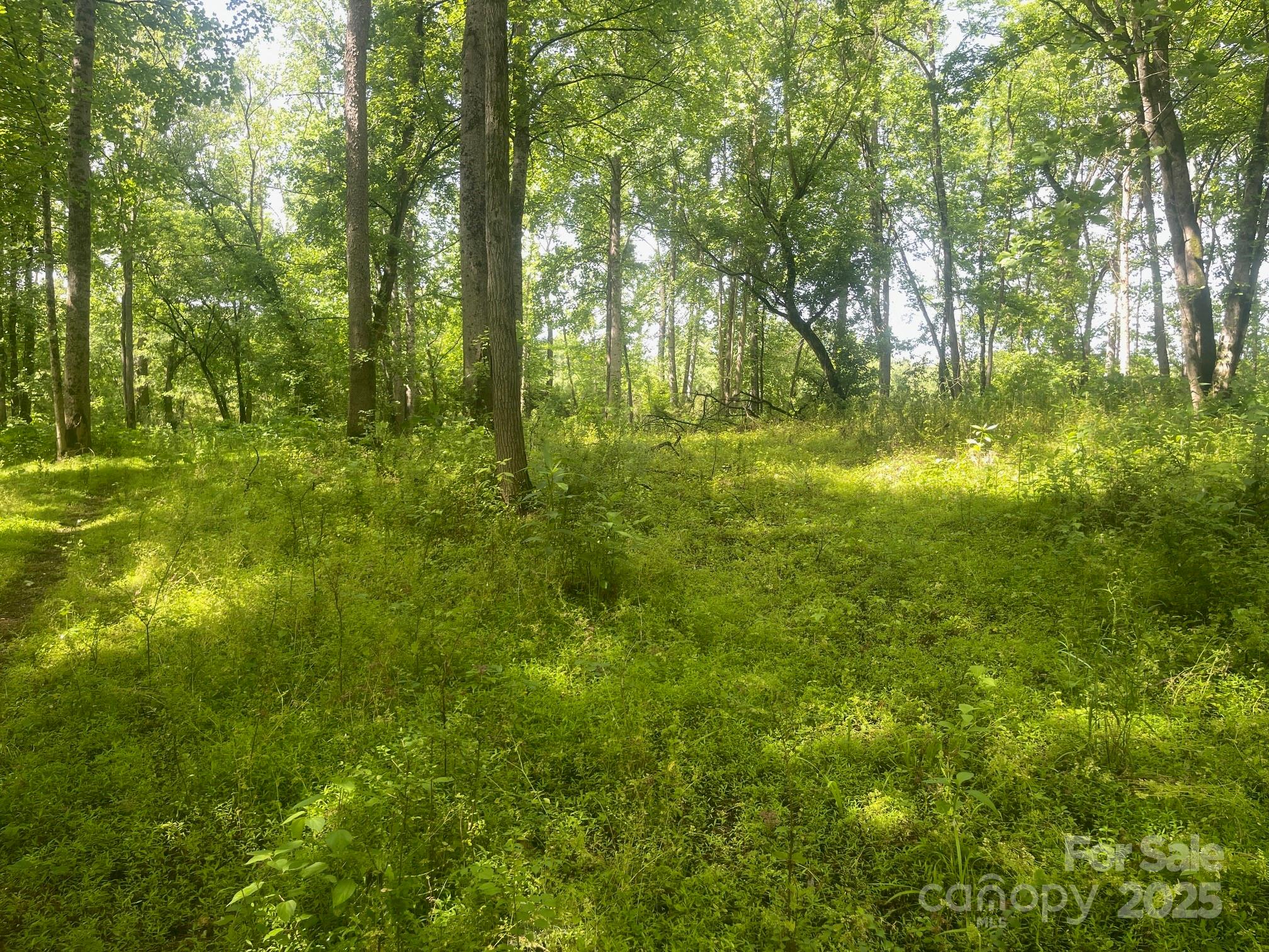 Lot 149 Lookout Dam Road
