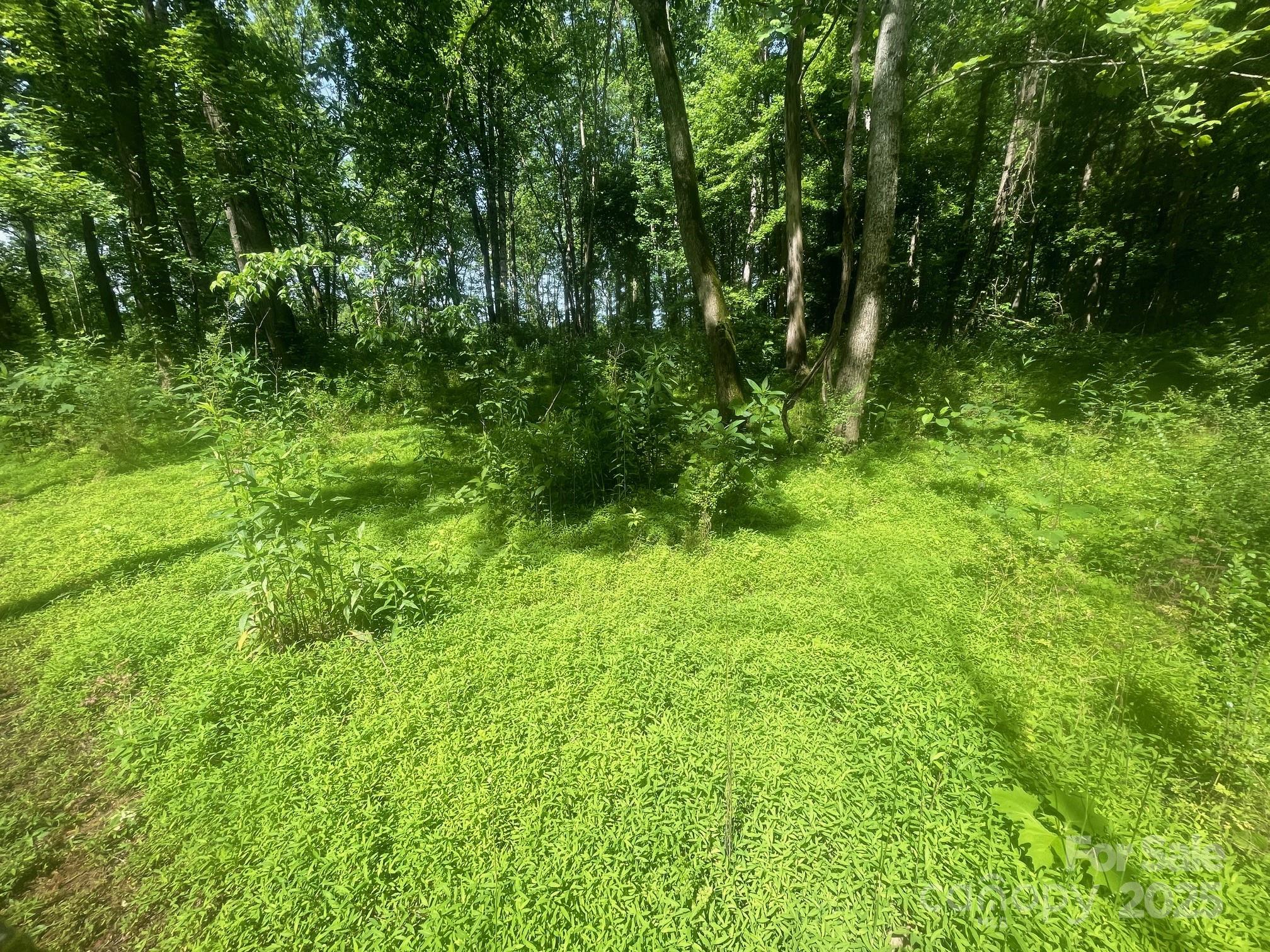 Lot 149 Lookout Dam Road
