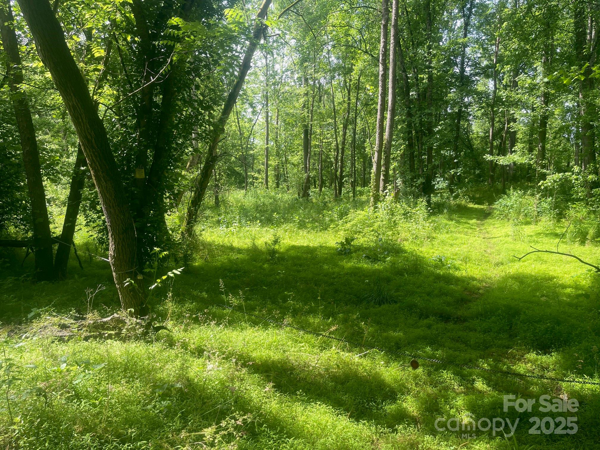 Lot 149 Lookout Dam Road