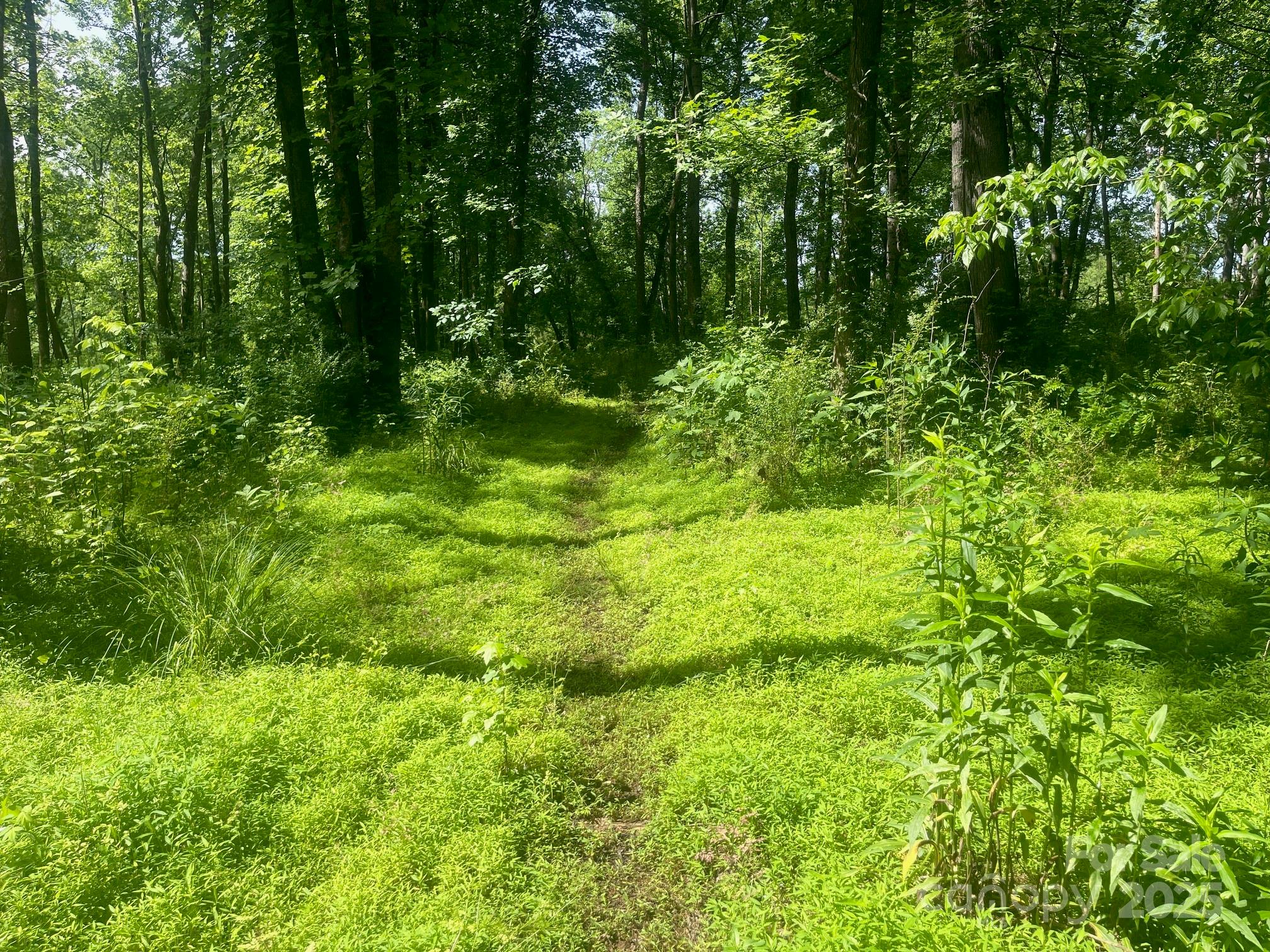 Lot 149 Lookout Dam Road