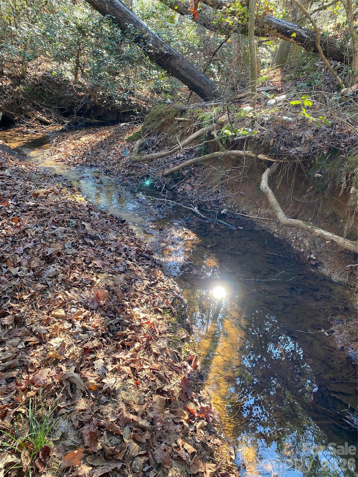 Belue Farms - Residential