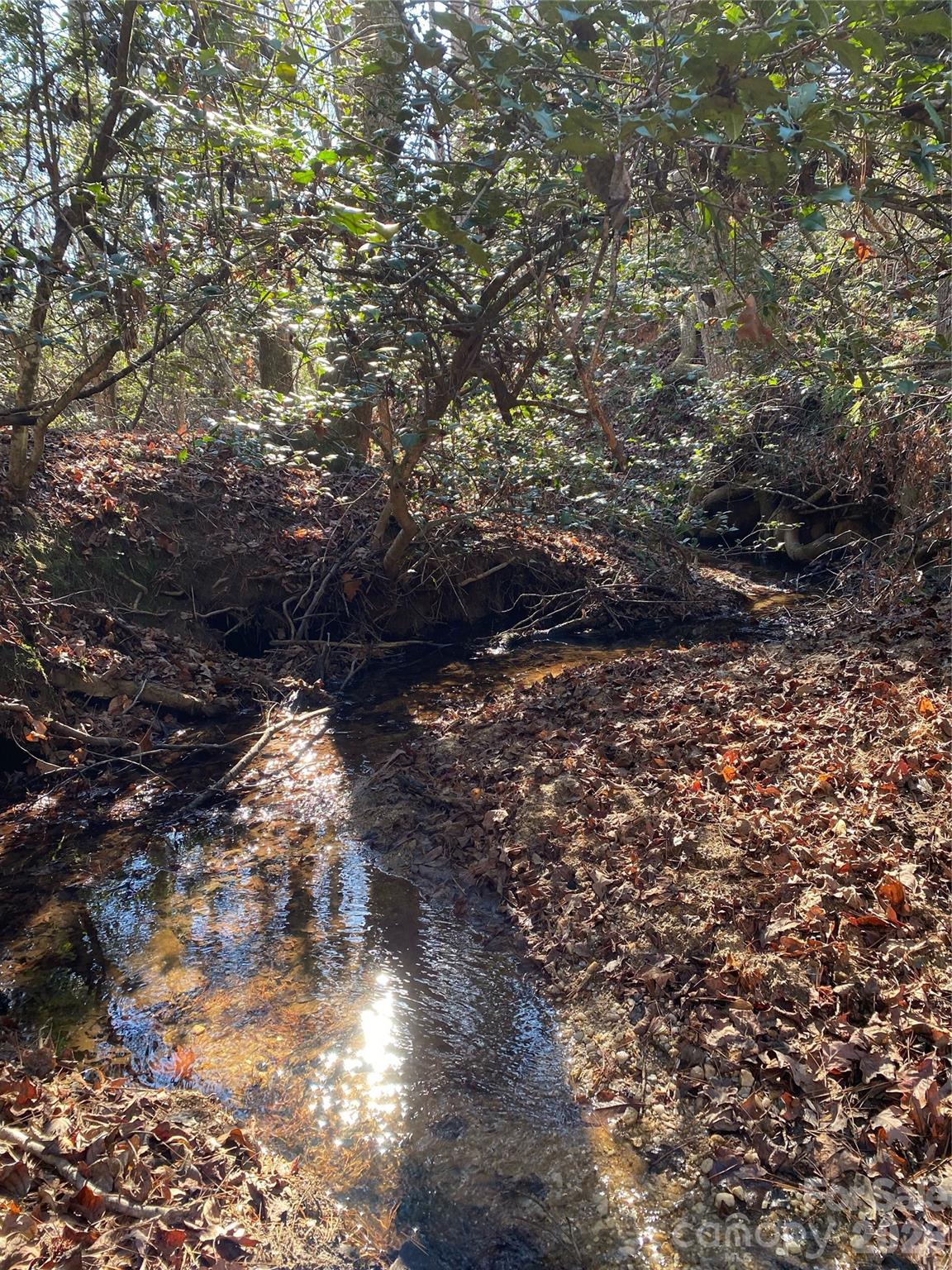 Belue Farms - Residential