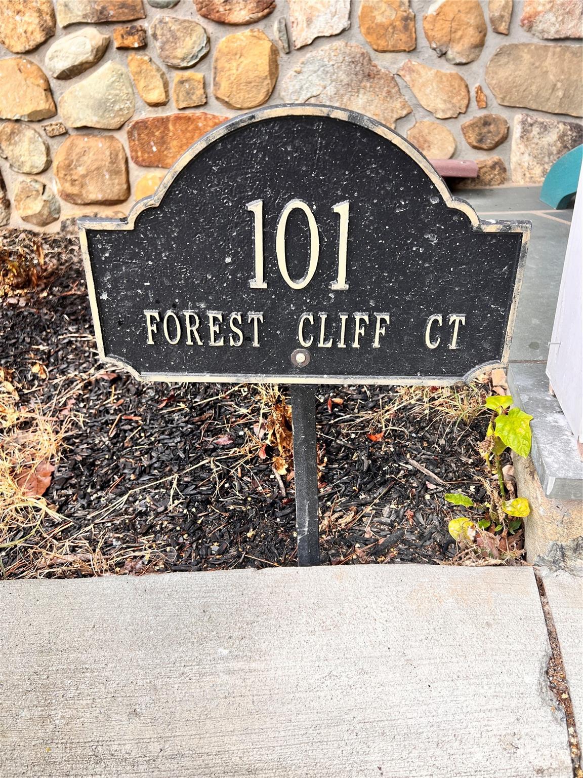 101 Forest Cliff Court NE